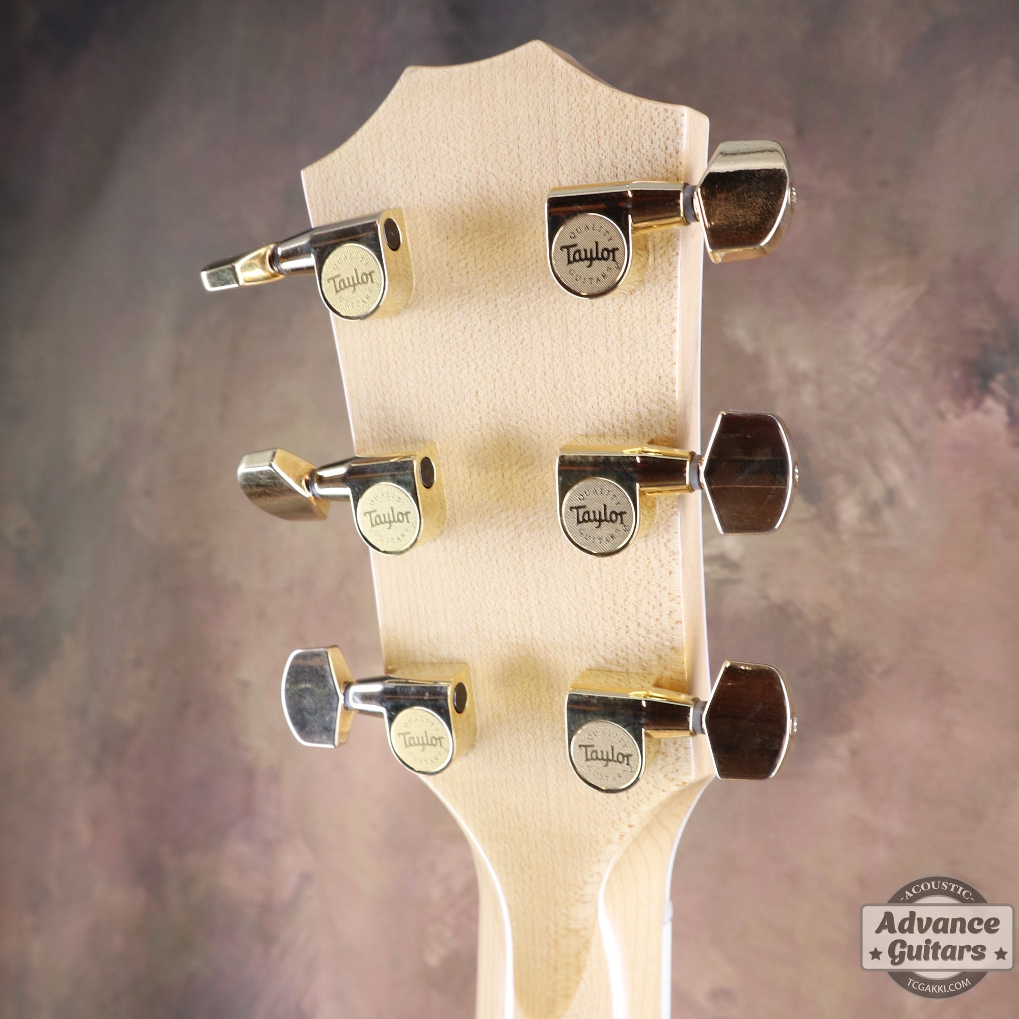 Taylor 2011年製 614ce Flame Maple - TC楽器 - TCGAKKI