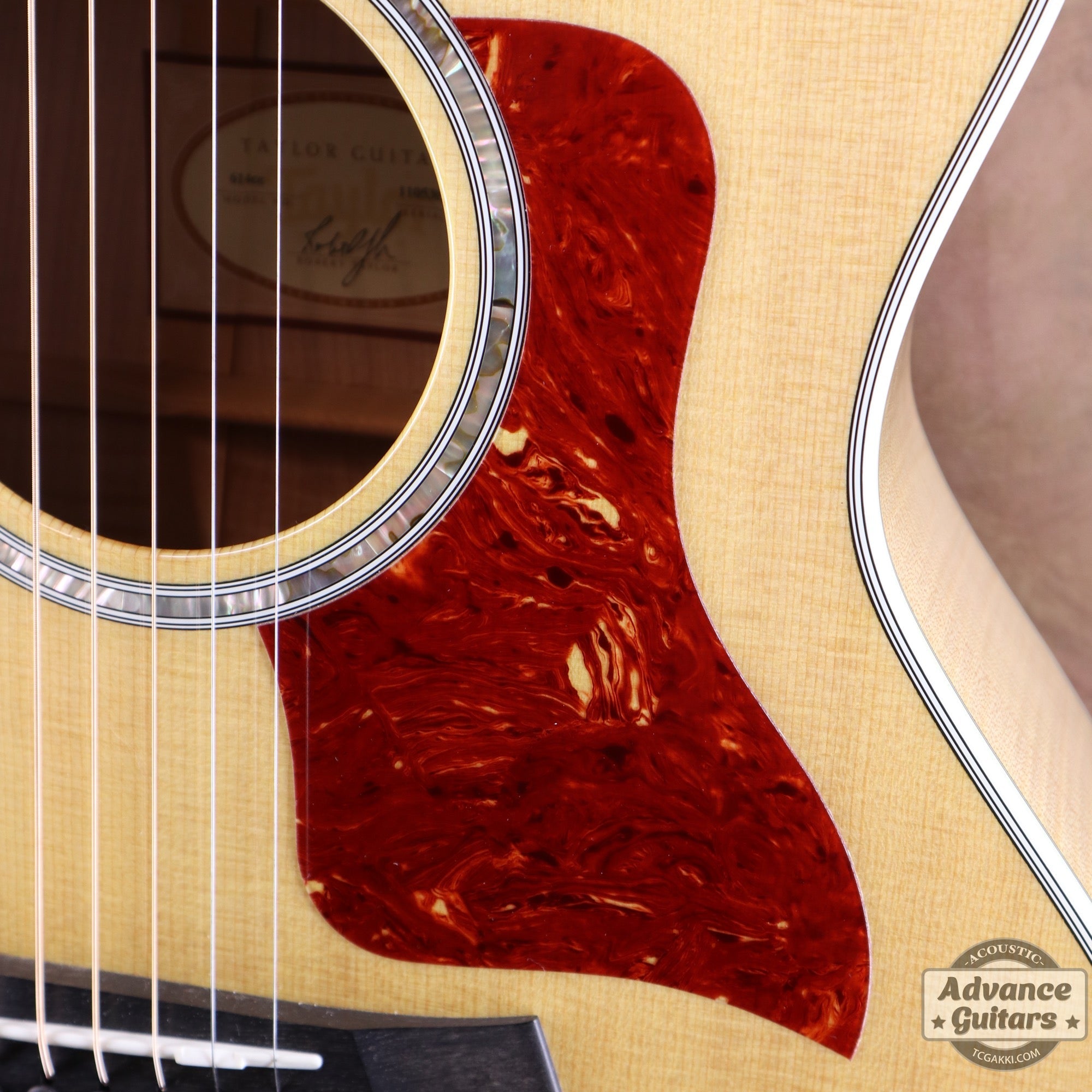 Taylor 2011年製 614ce Flame Maple - TC楽器 - TCGAKKI