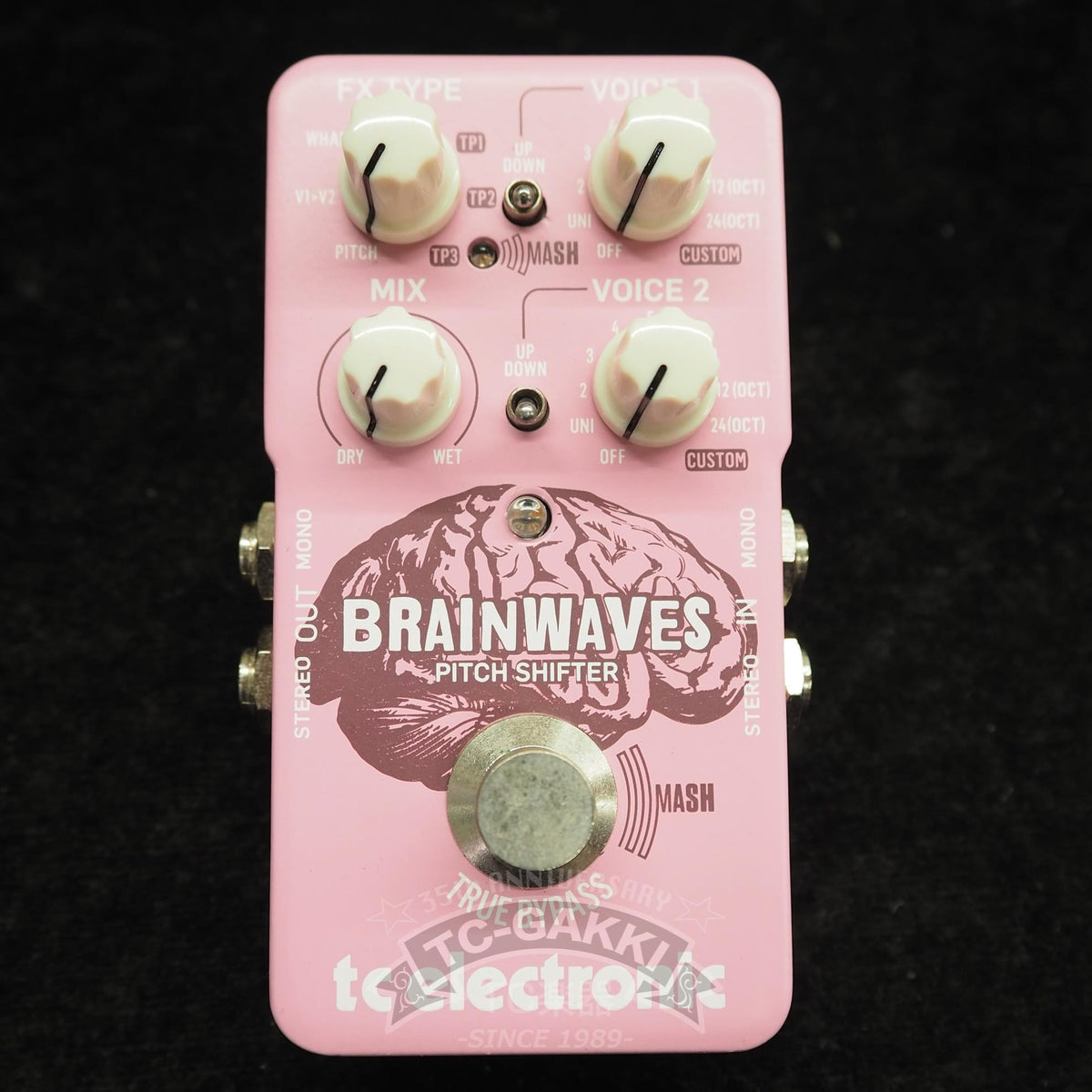 t.c. electronic BRAINWAVES - TC楽器 - TCGAKKI