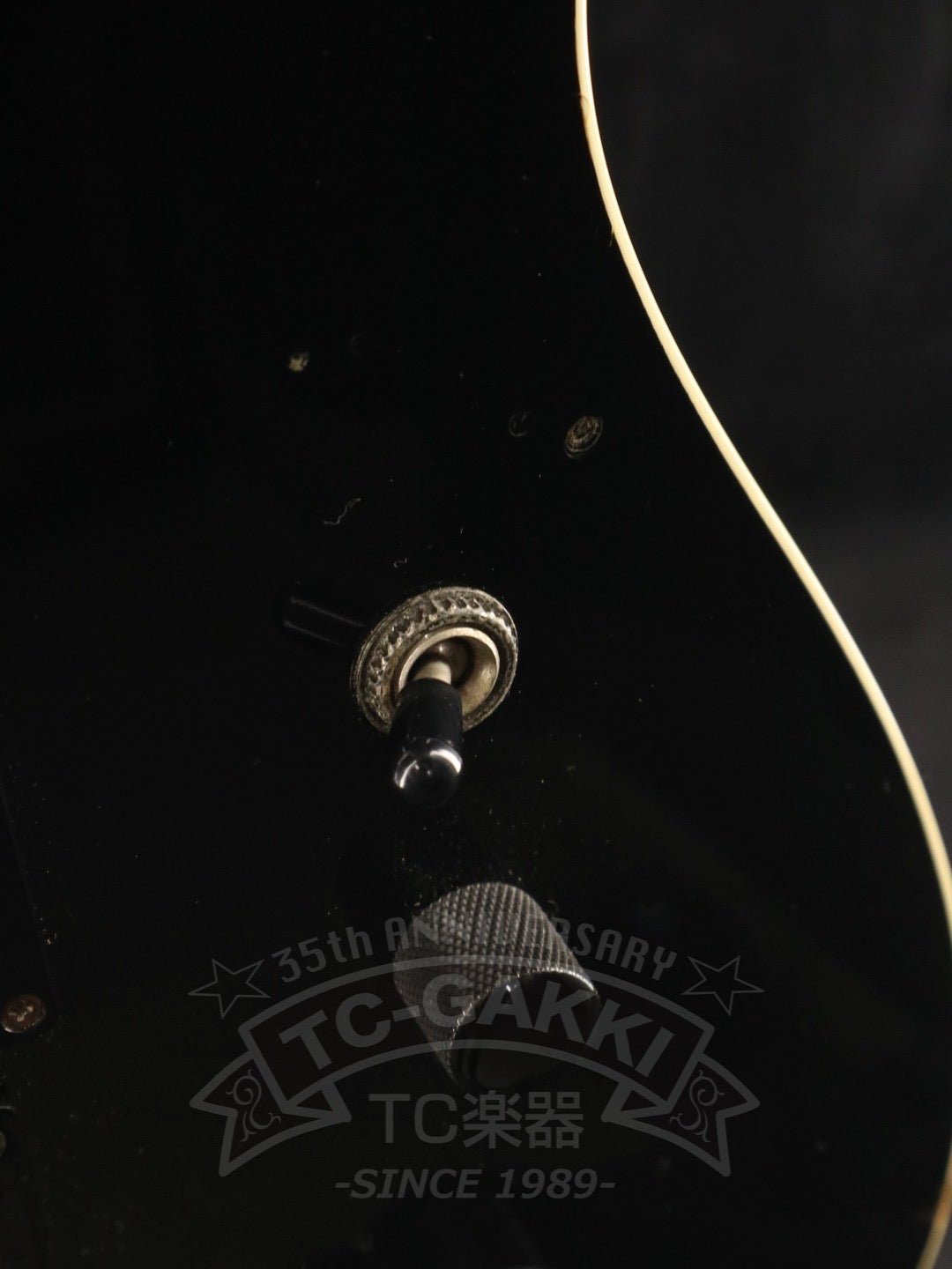 TEJ - STD - TC楽器 - TCGAKKI