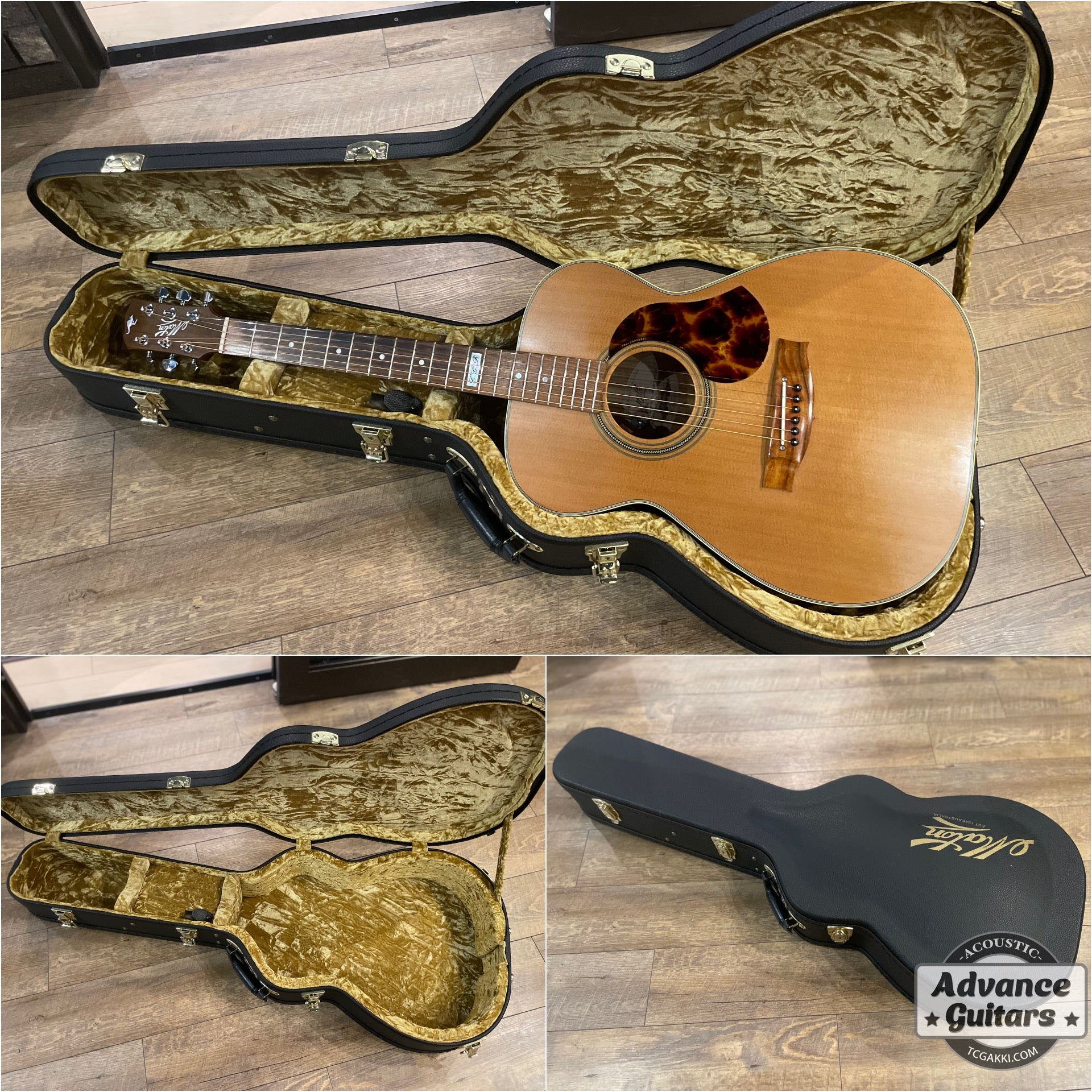 2017年製 EBG808 TE (Tommy EMMANUEZL)