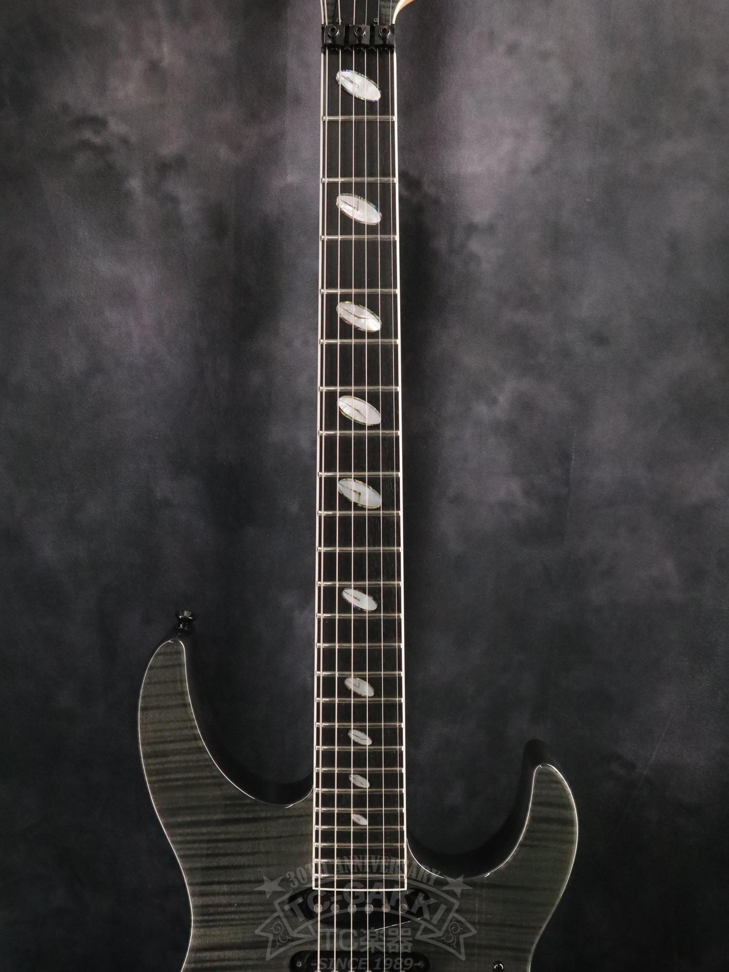 Caparison Custom Line Dellinger CL12