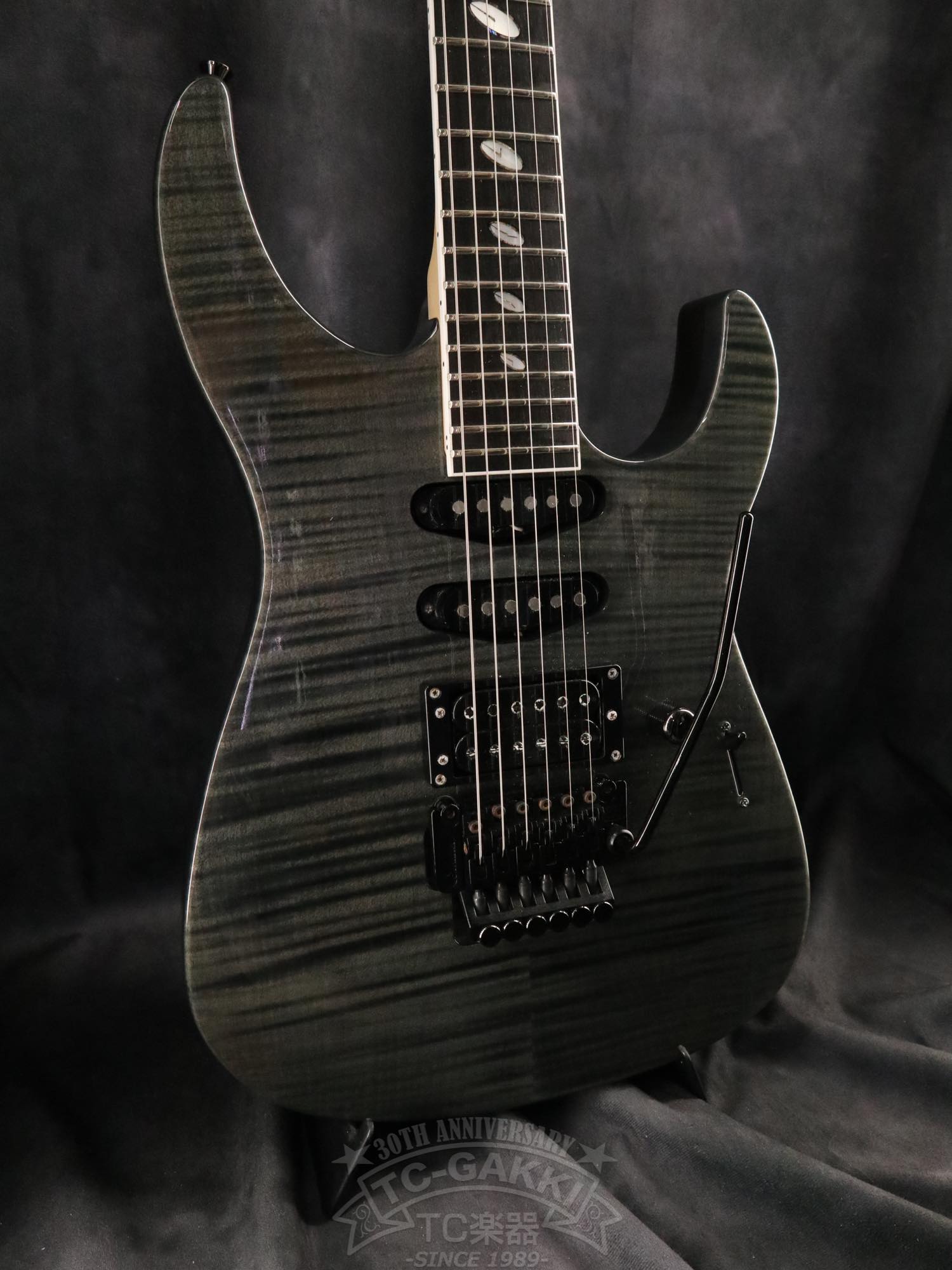 Caparison Custom Line Dellinger CL12
