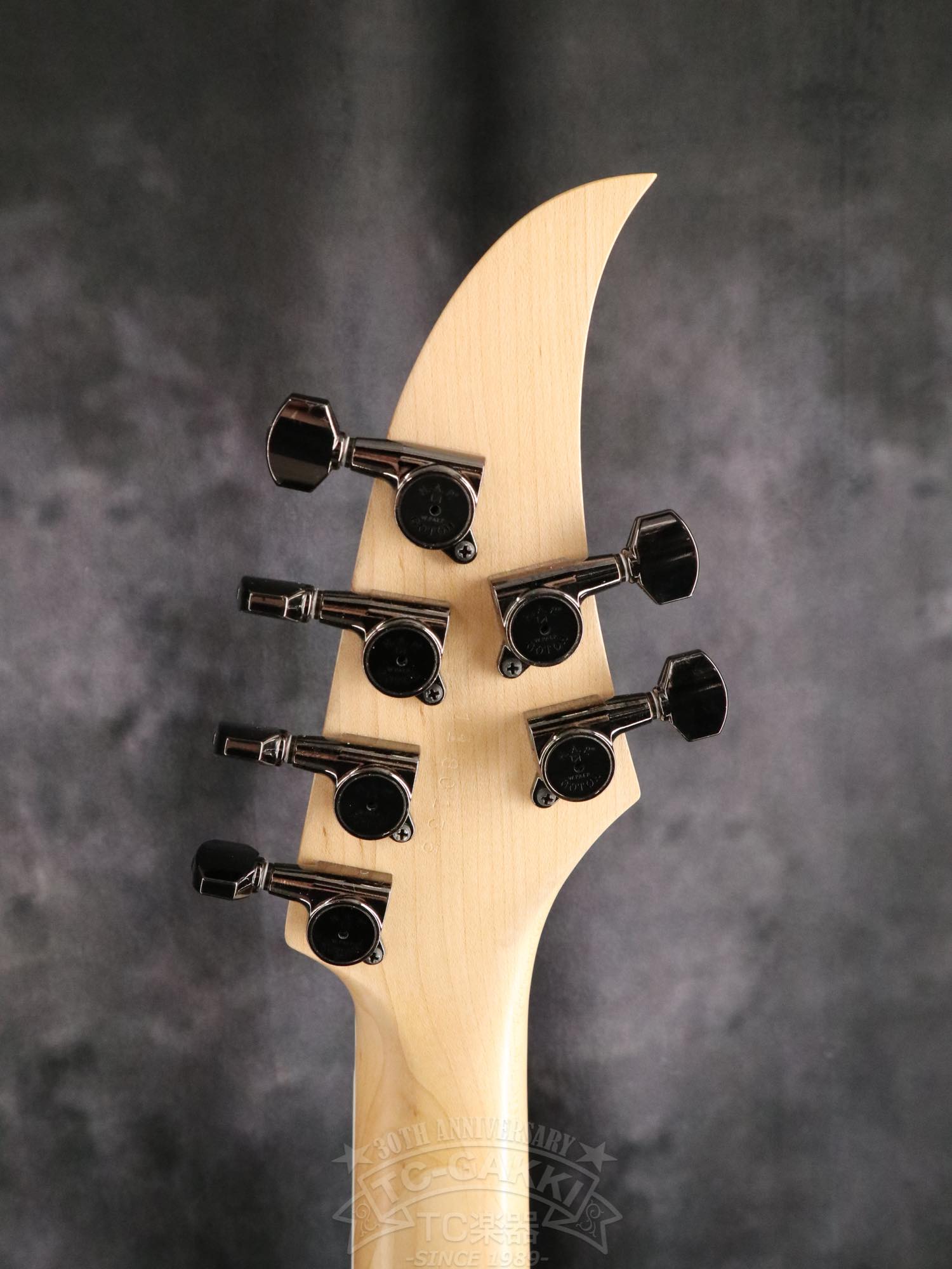 Caparison Custom Line Dellinger CL12
