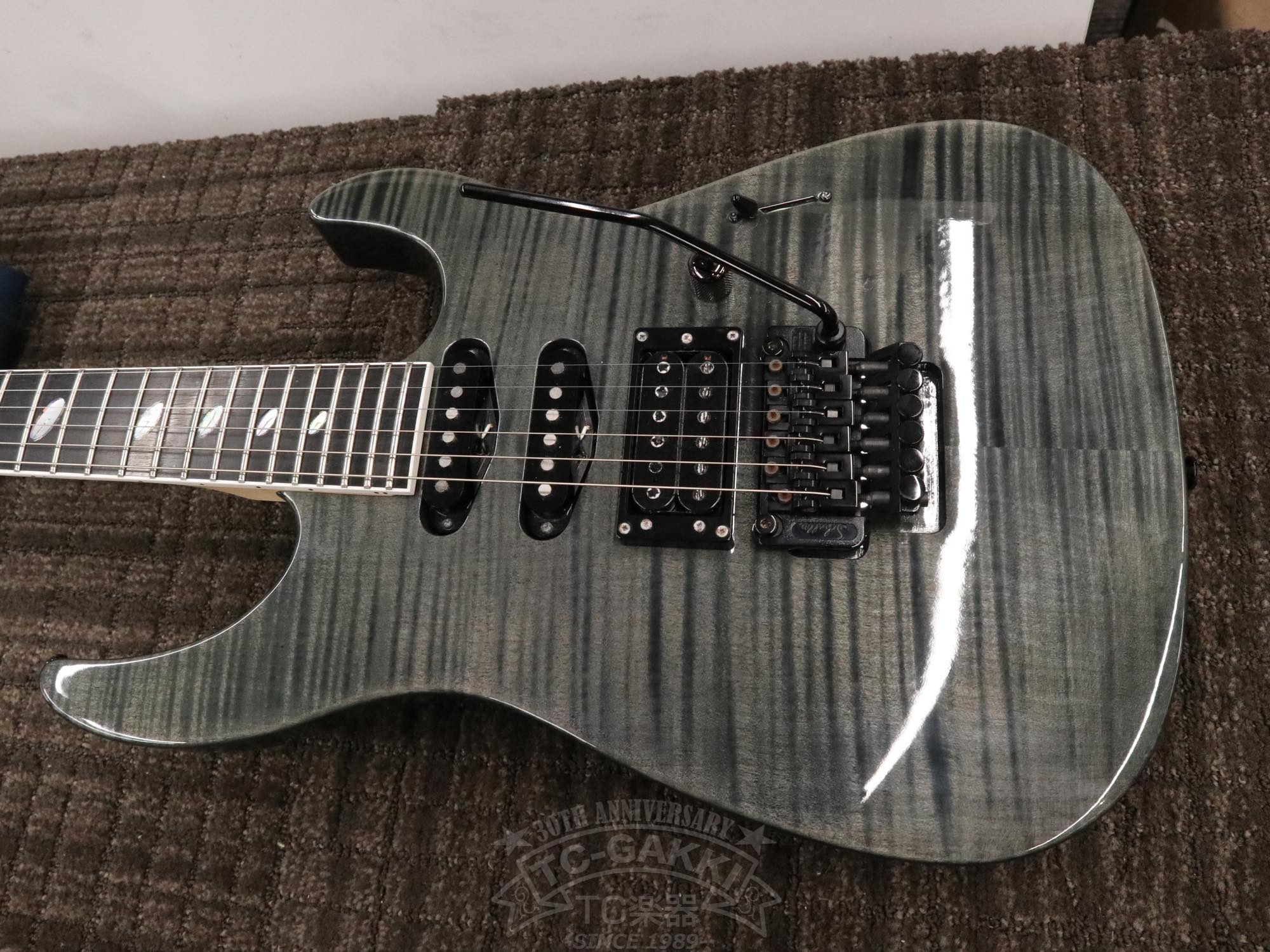 Caparison Custom Line Dellinger CL12