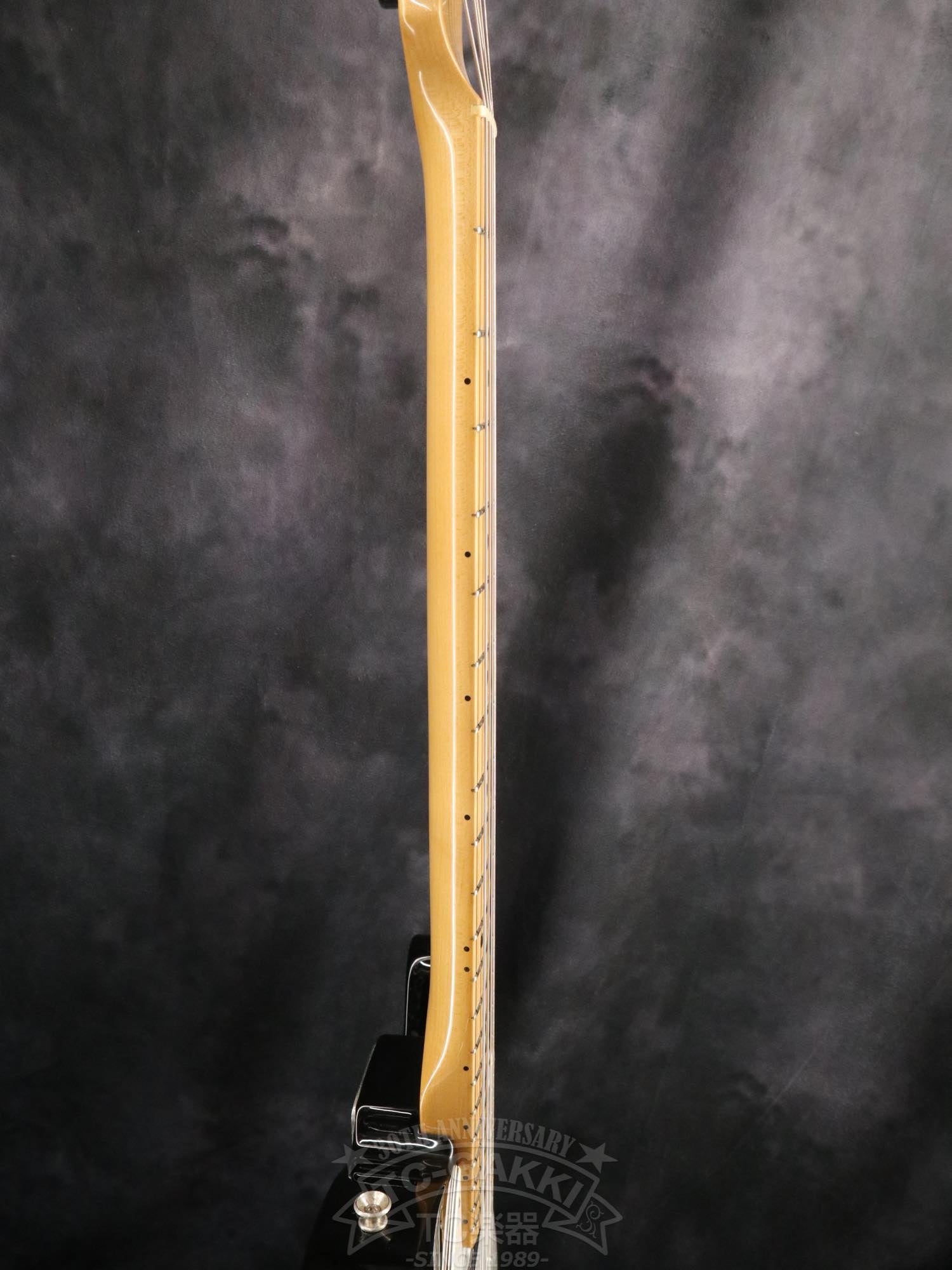 Fender Mexico 1969 Telecaster Thinline