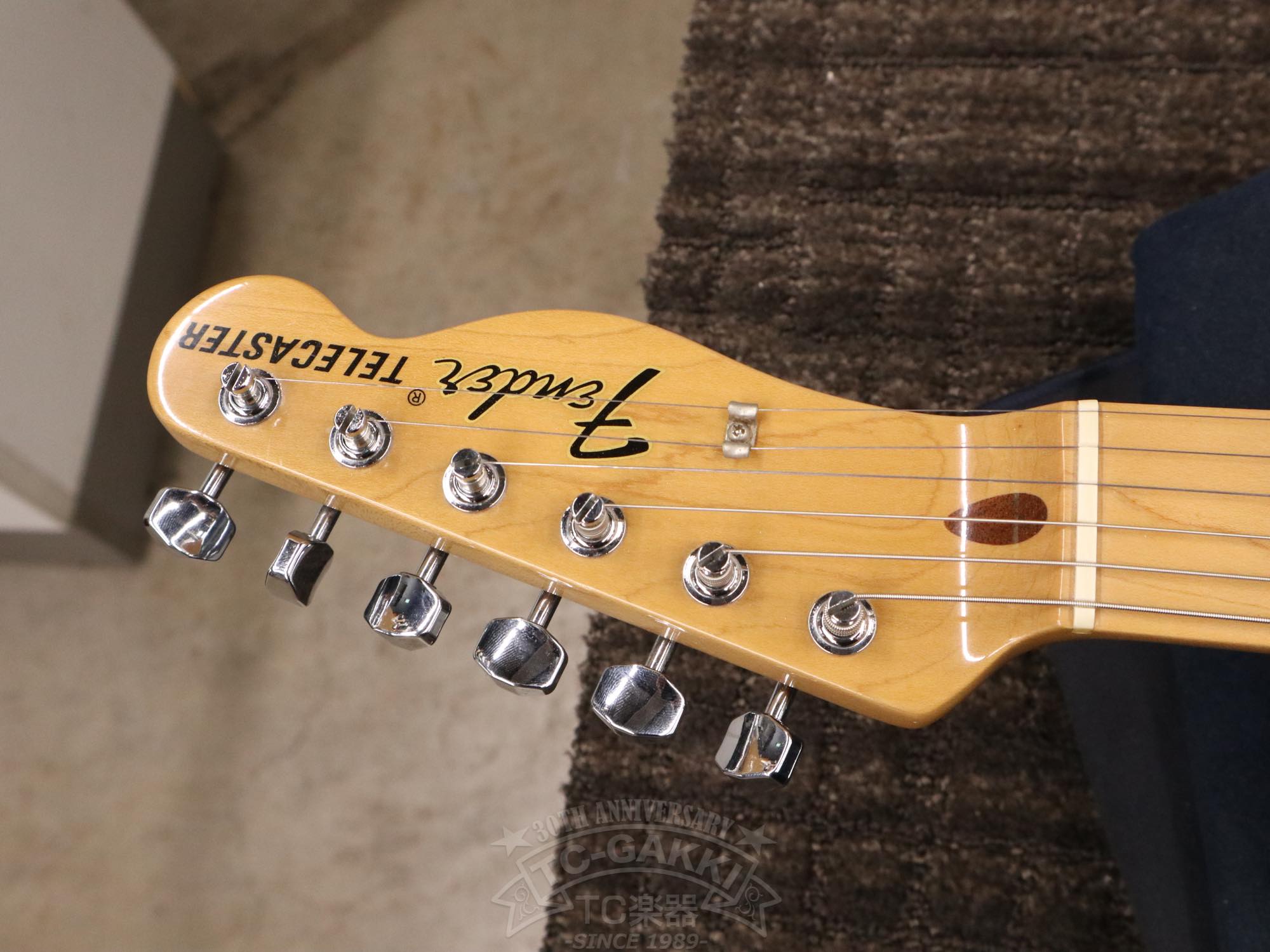 Fender Mexico 1969 Telecaster Thinline