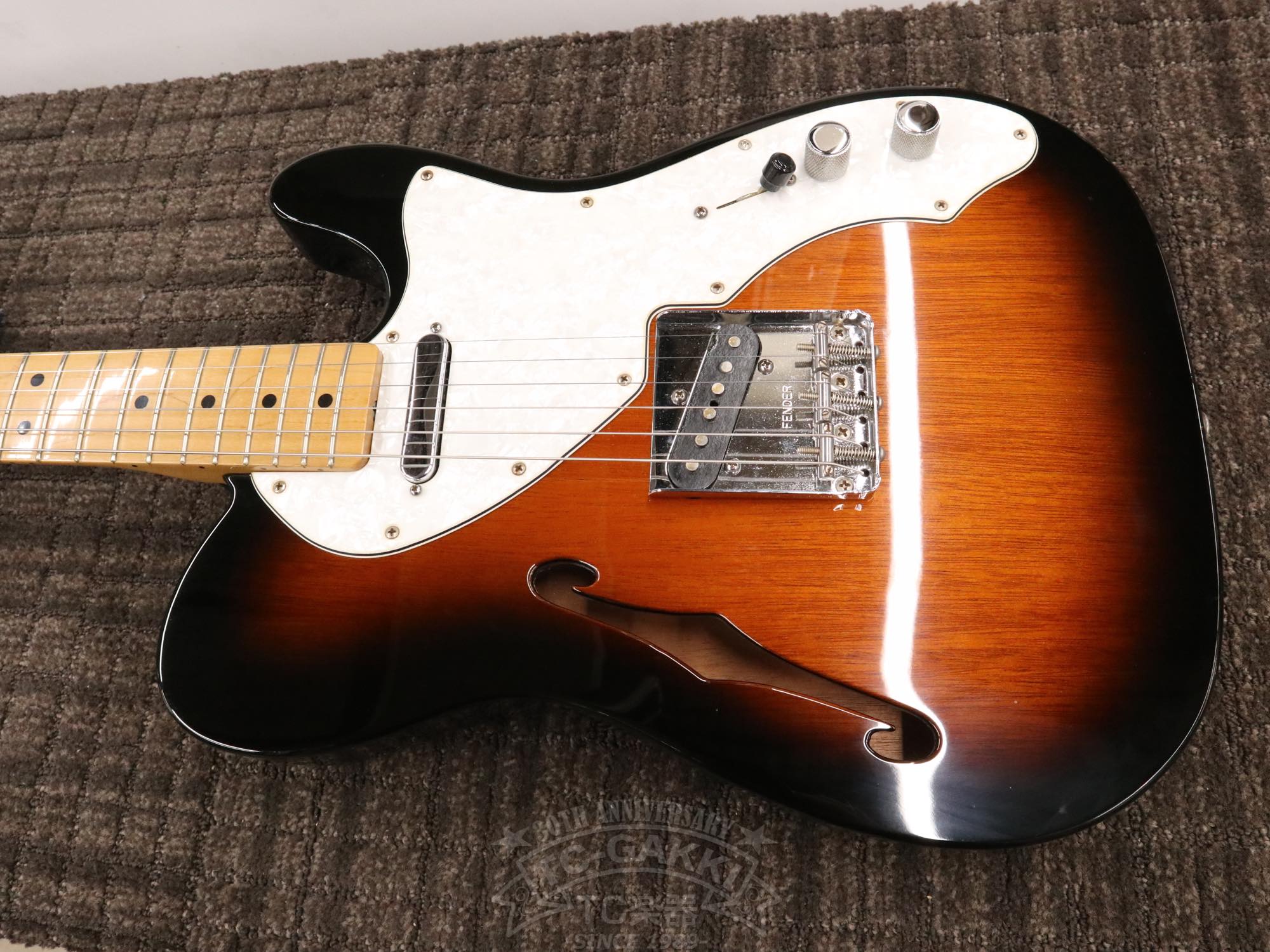 Fender Mexico 1969 Telecaster Thinline