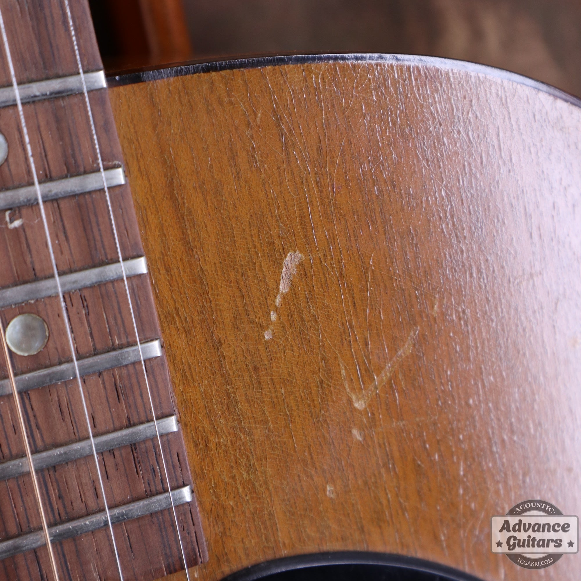 Gibson 1965年製 TG-0
