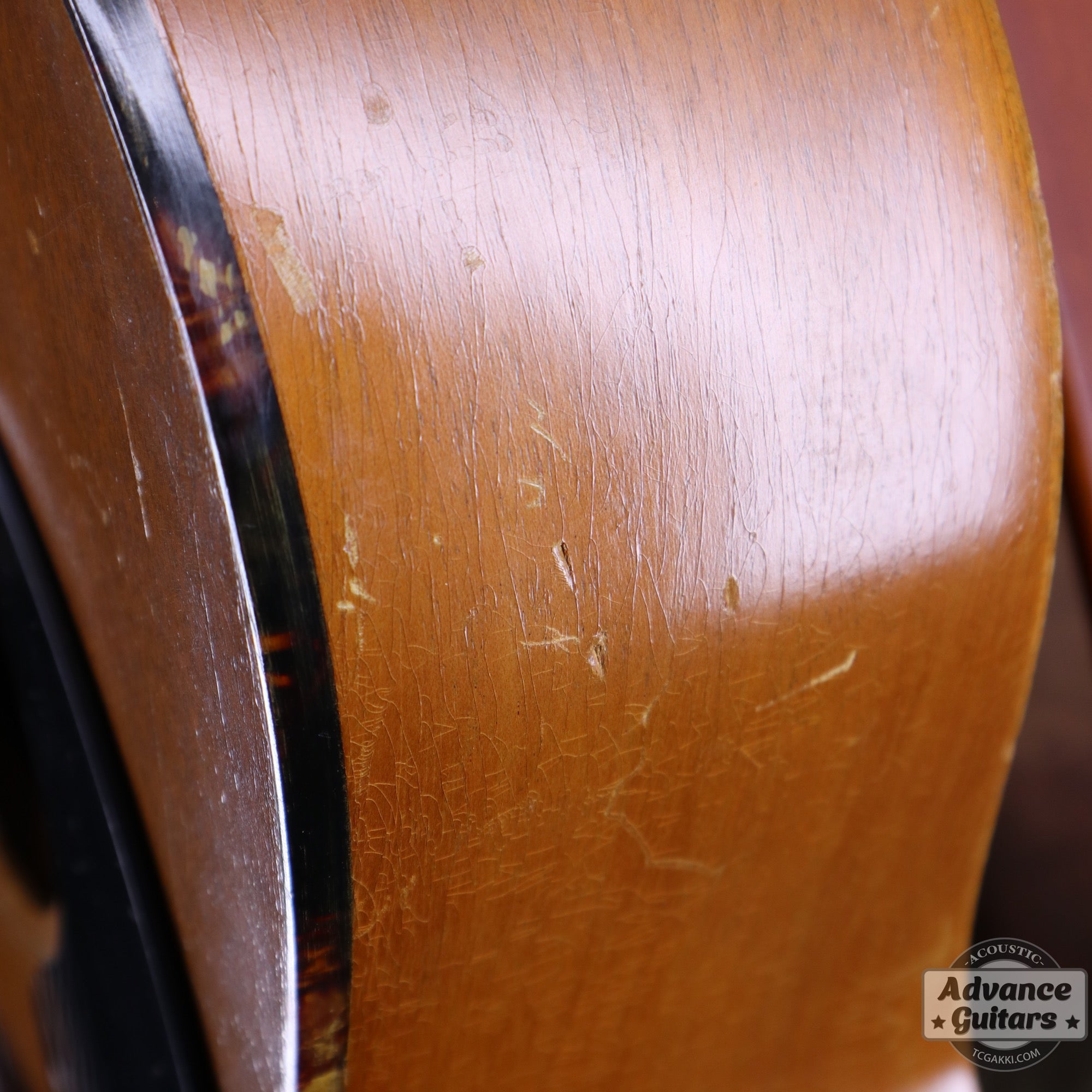 Gibson 1965年製 TG-0