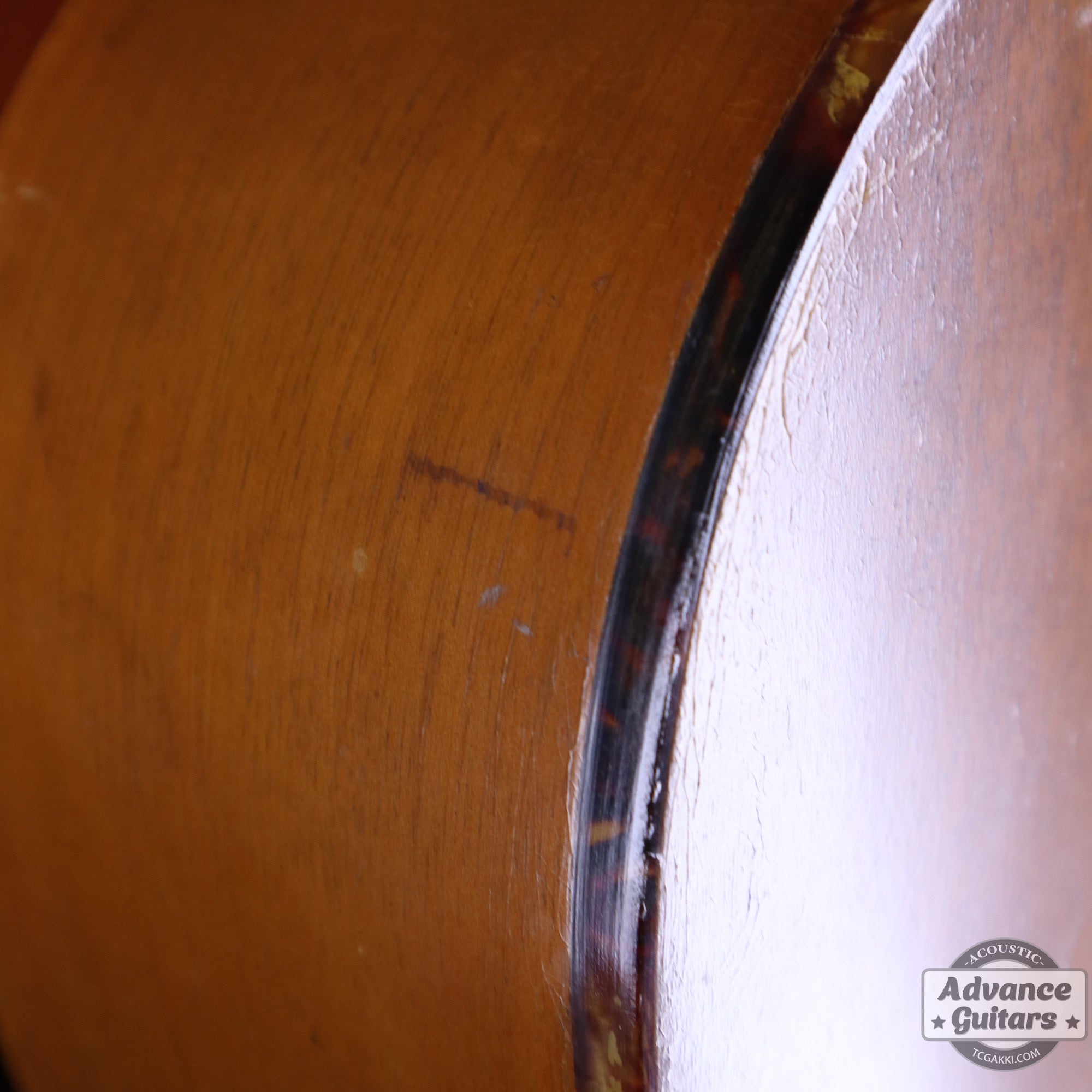 Gibson 1965年製 TG-0