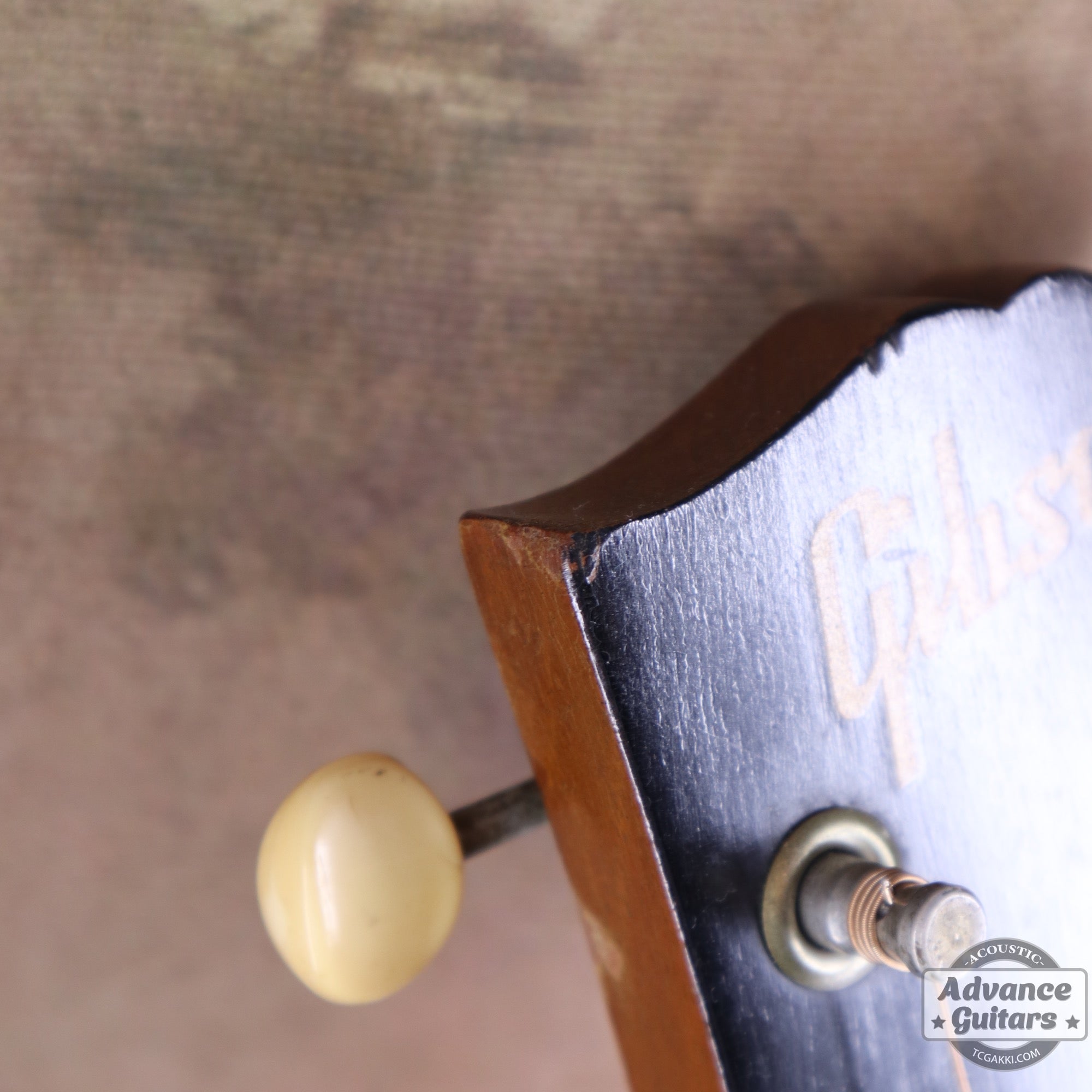 Gibson 1965年製 TG-0