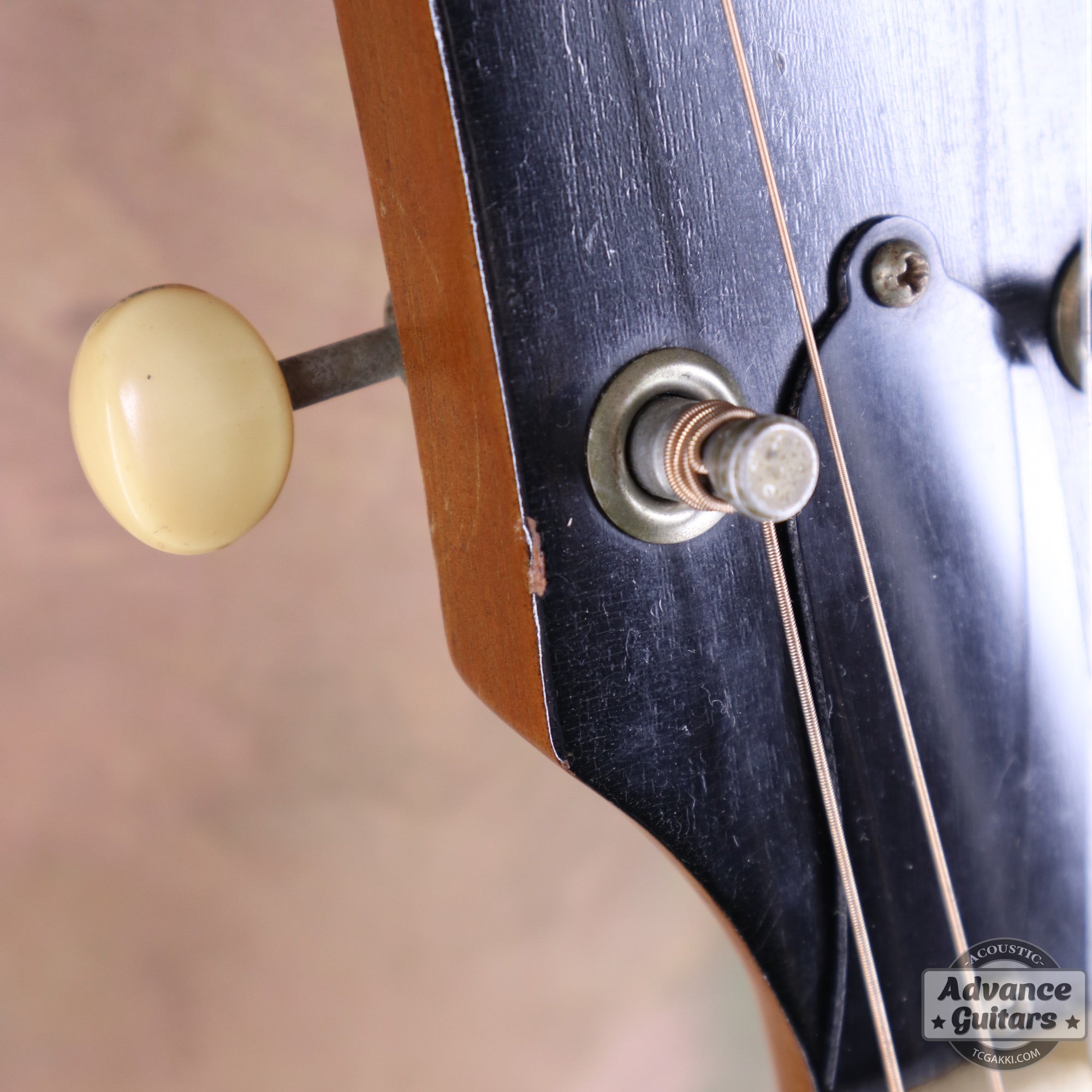 Gibson 1965年製 TG-0