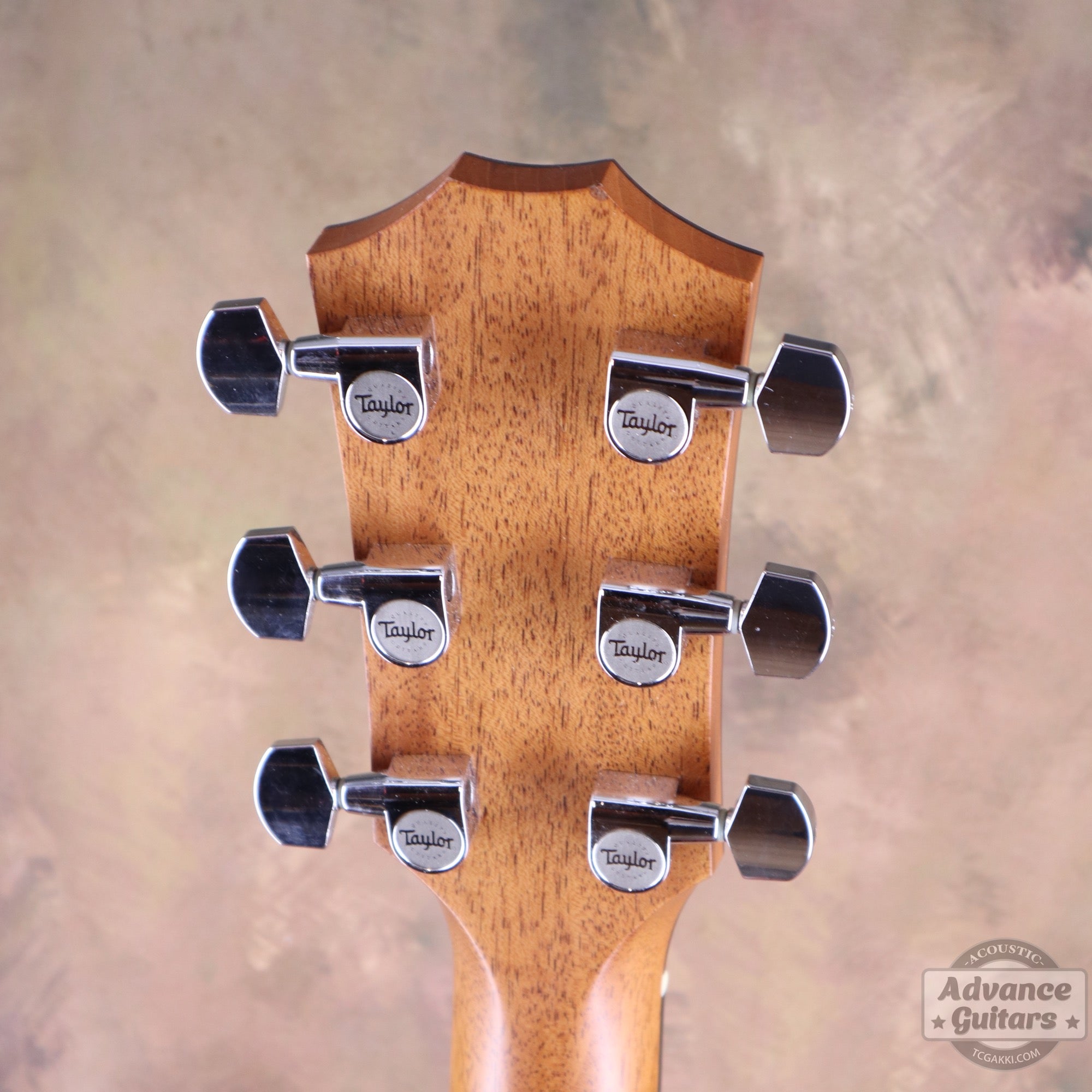 Taylor 2008年製 314ce