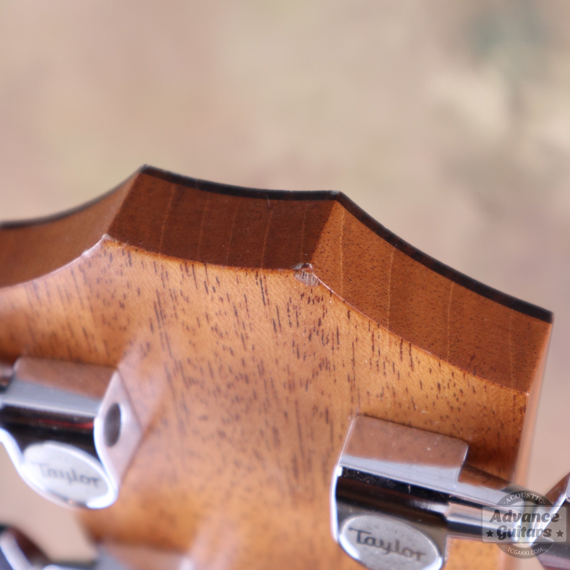 Taylor 2008年製 314ce