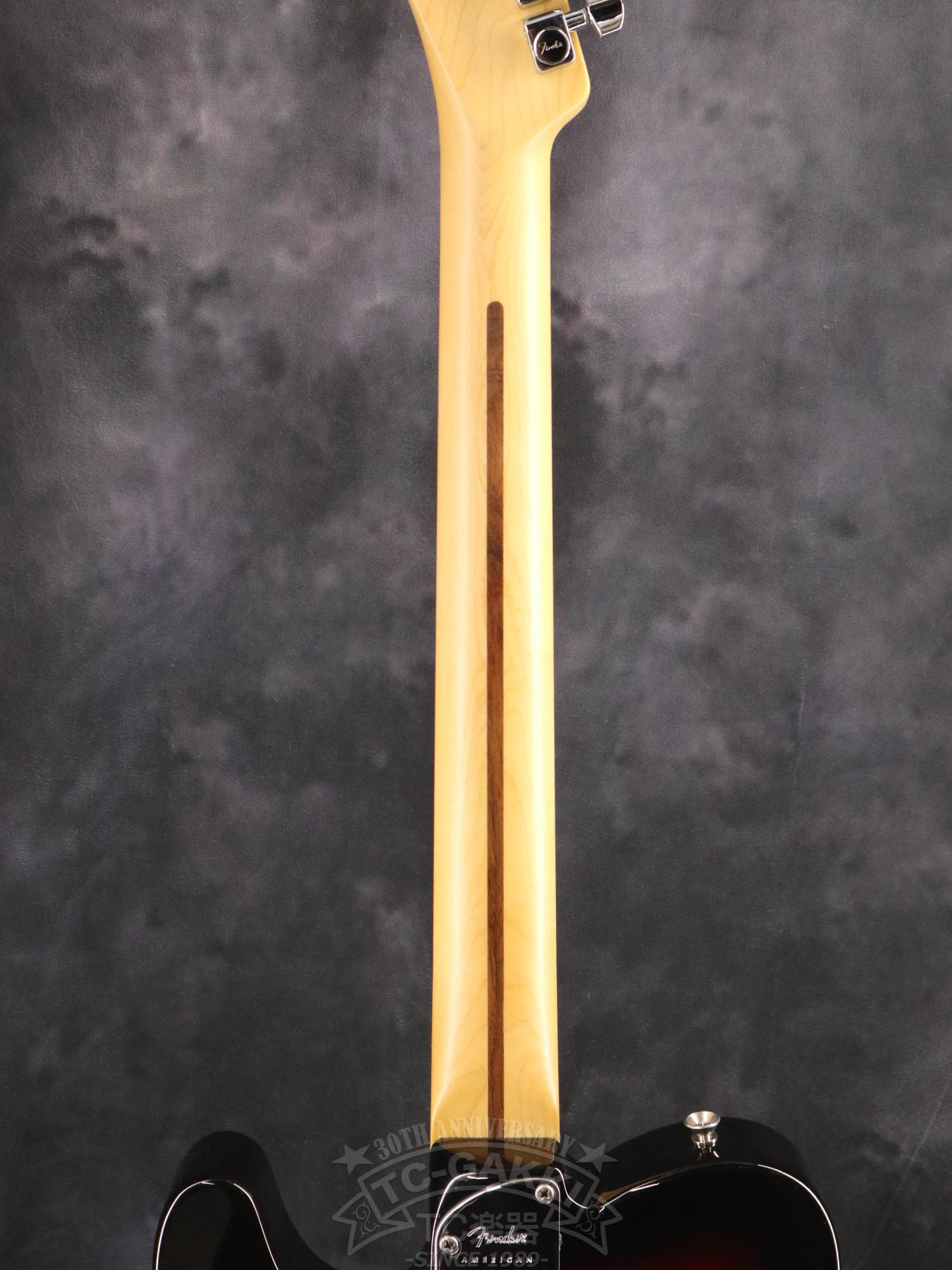 Fender USA American Professional II Telecaster