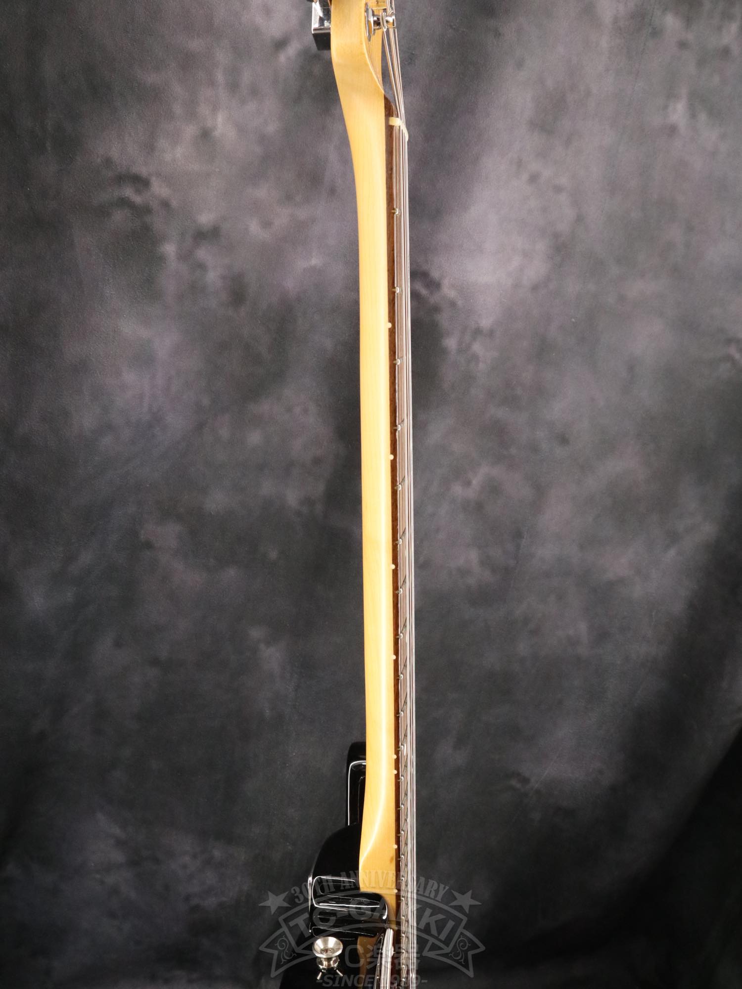 Fender USA American Professional II Telecaster