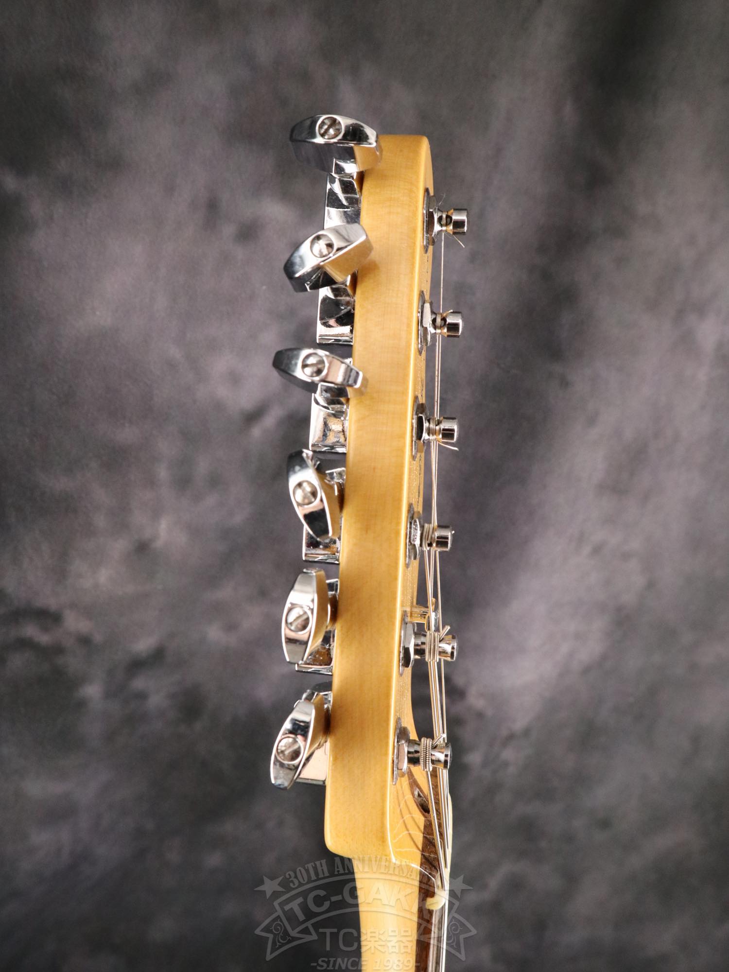 Fender USA American Professional II Telecaster