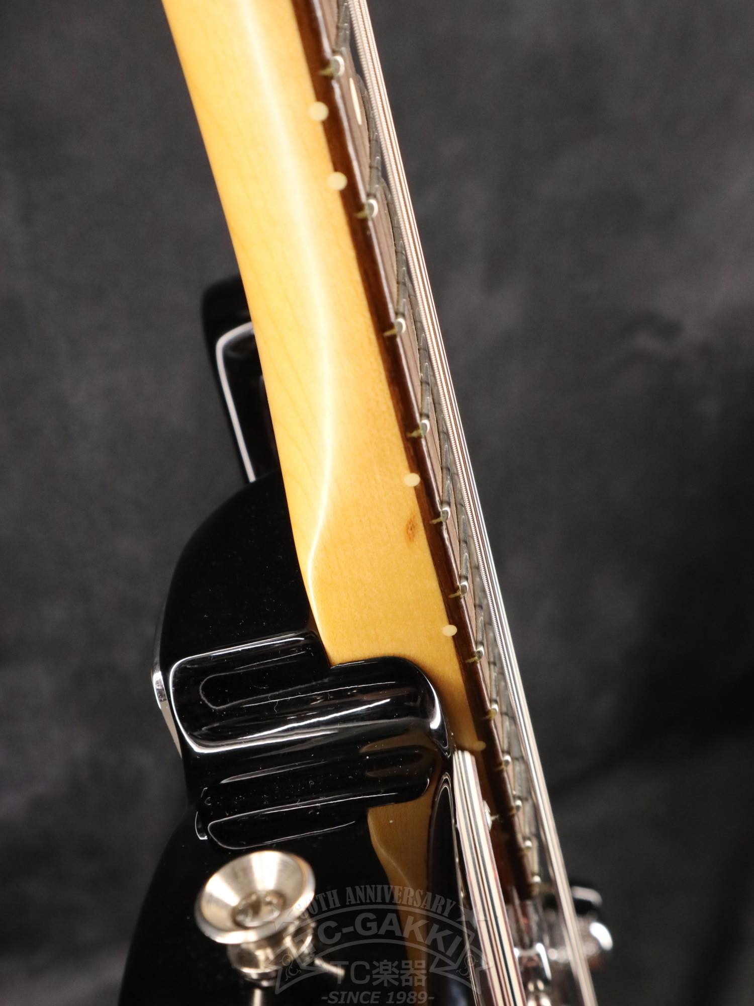 Fender USA American Professional II Telecaster