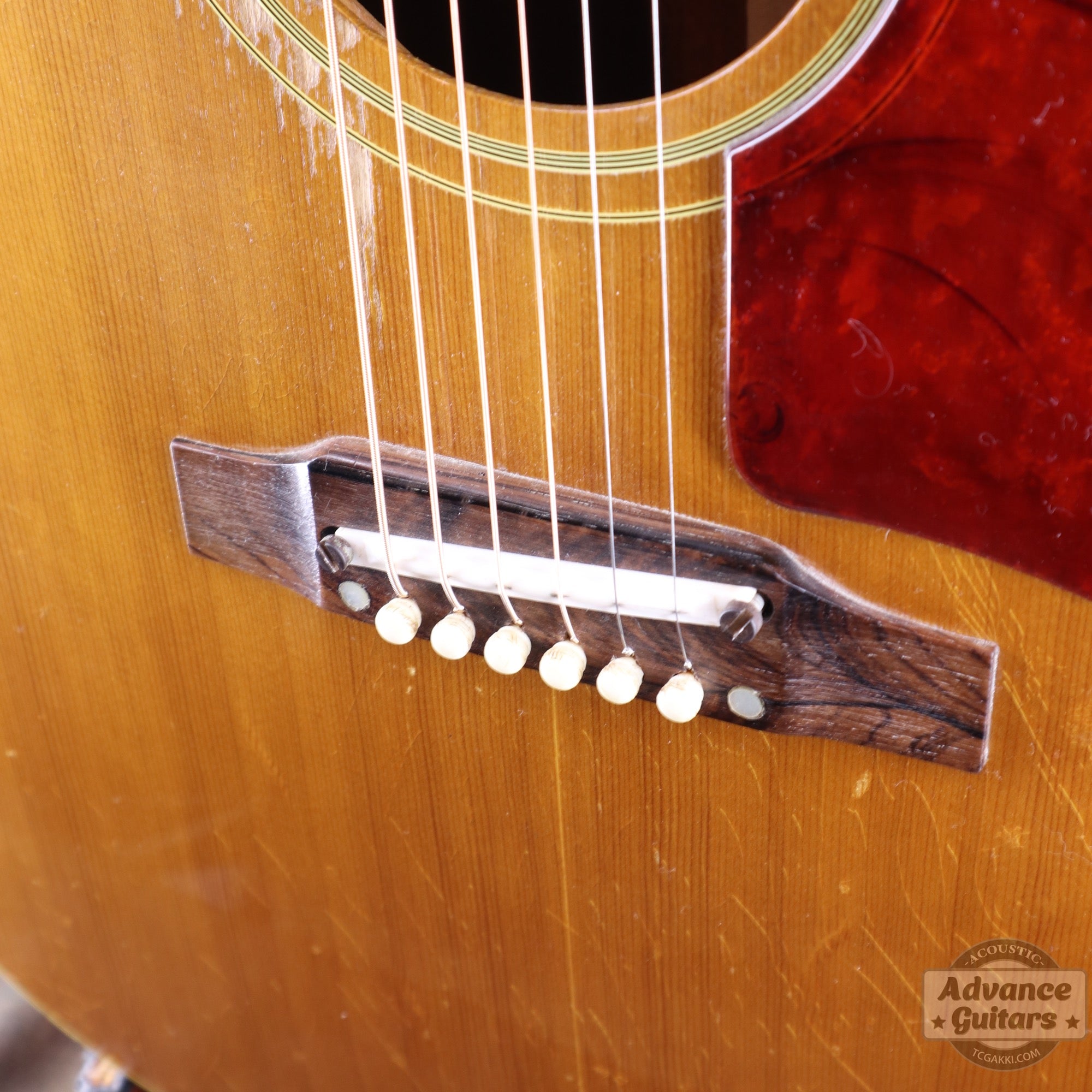 Gibson 1964年製 J-50