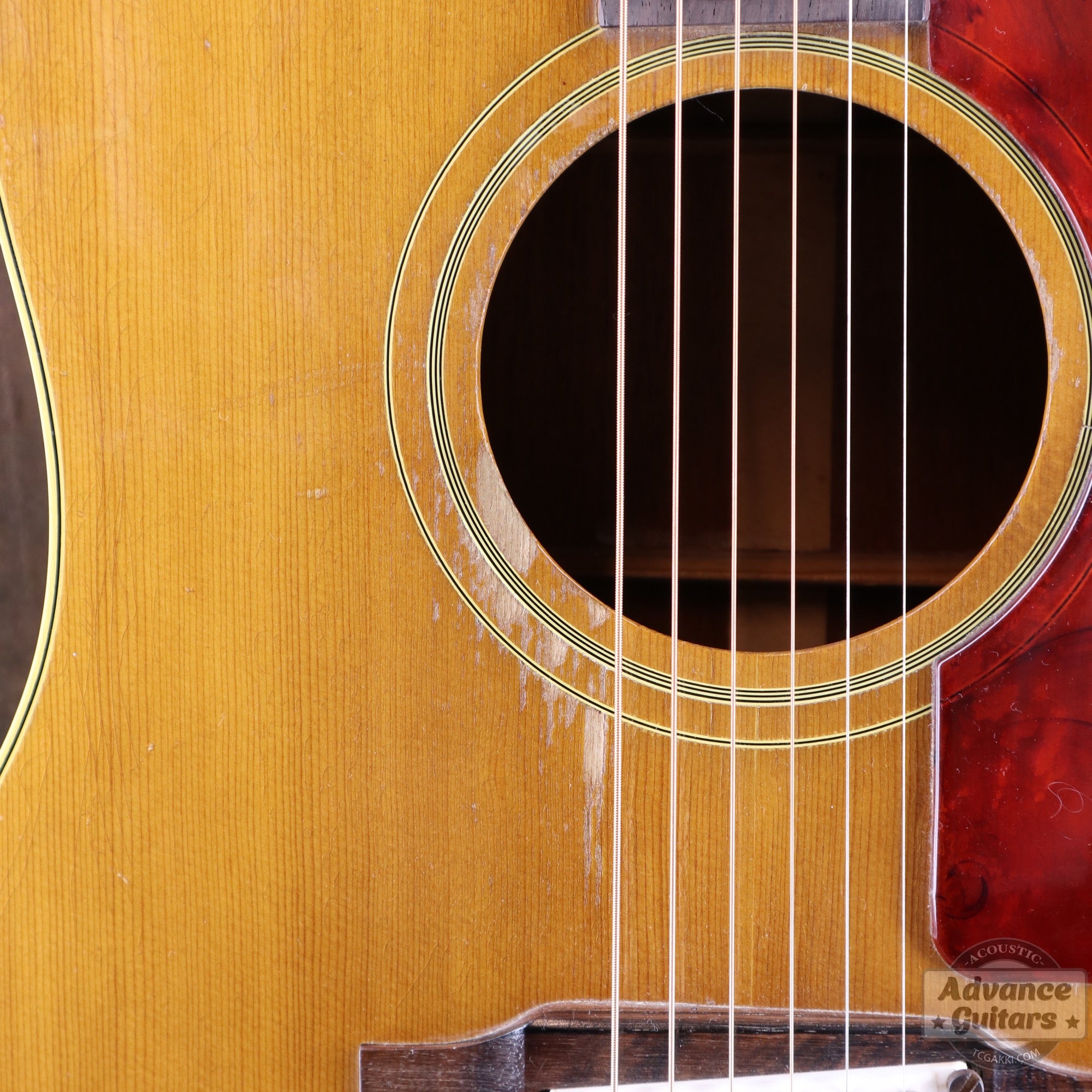 Gibson 1964年製 J-50