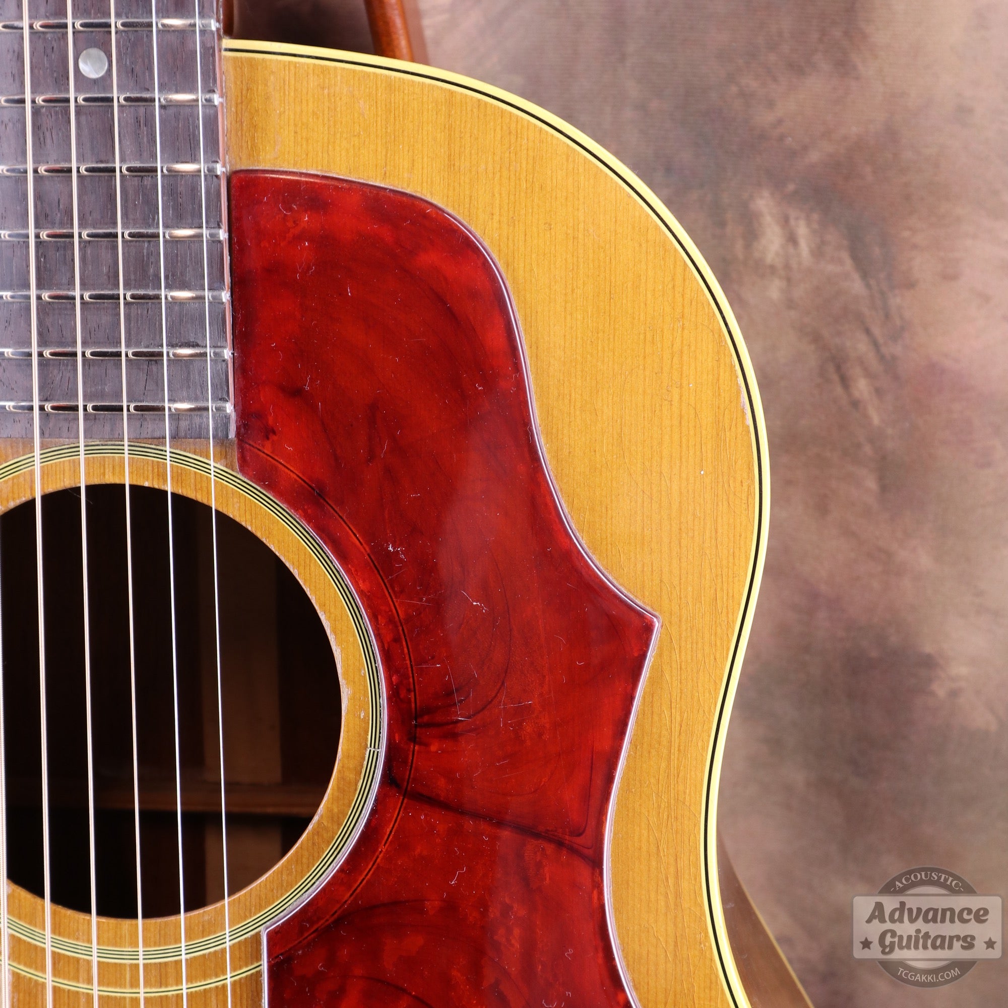 Gibson 1964年製 J-50