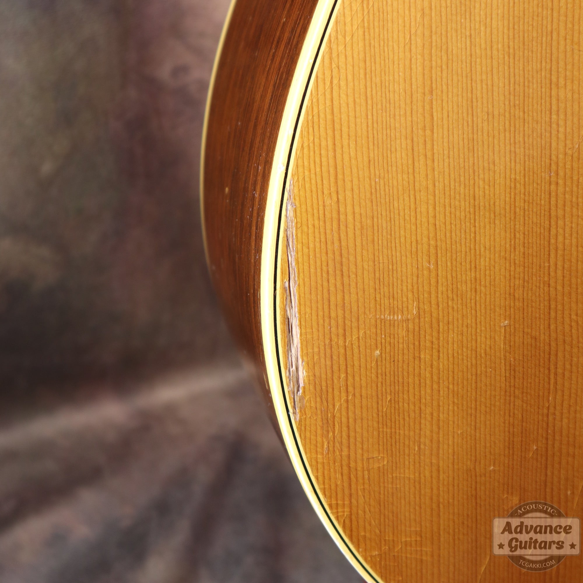 Gibson 1964年製 J-50