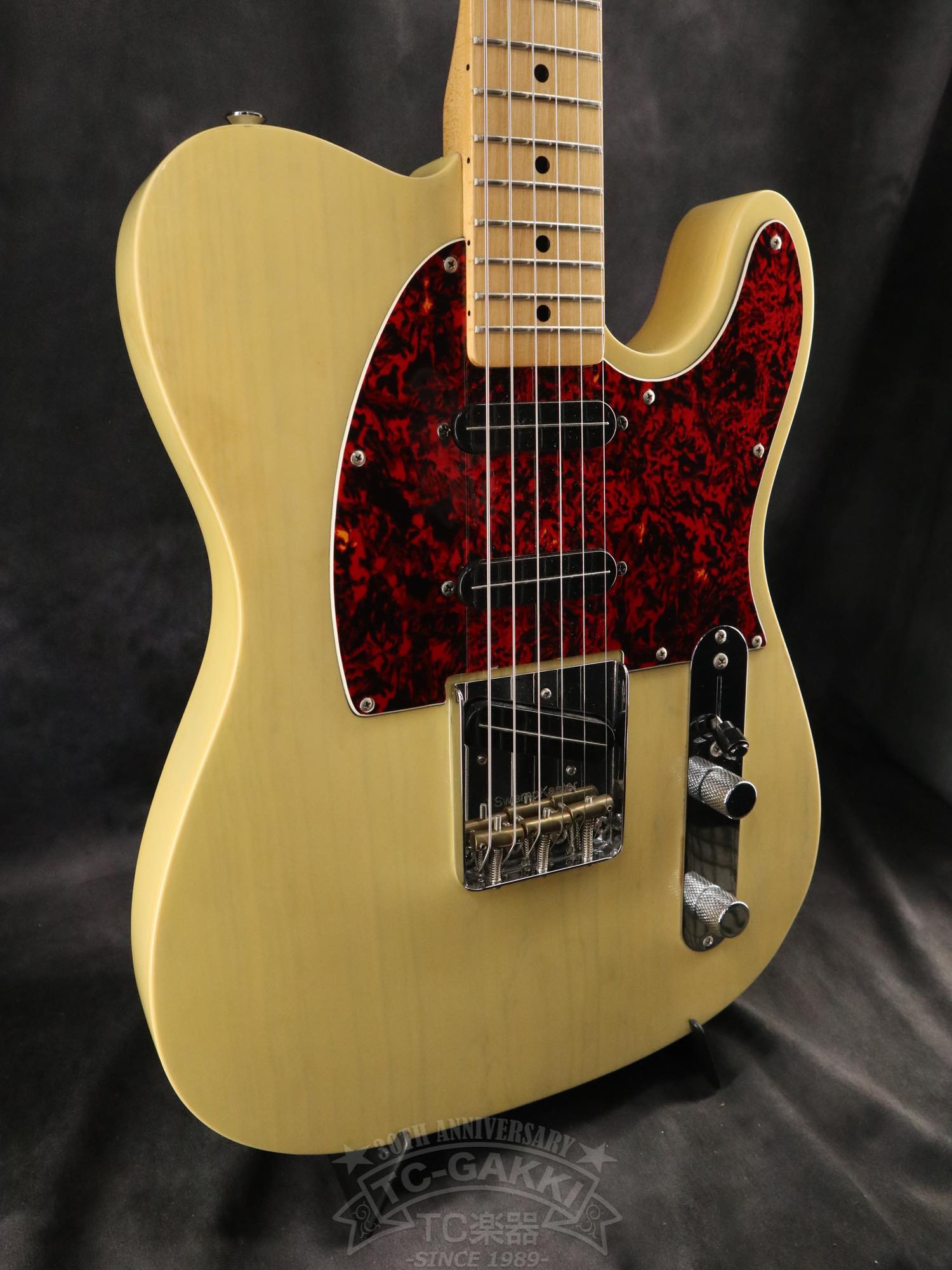 Bill Lawrence Swampkaster T