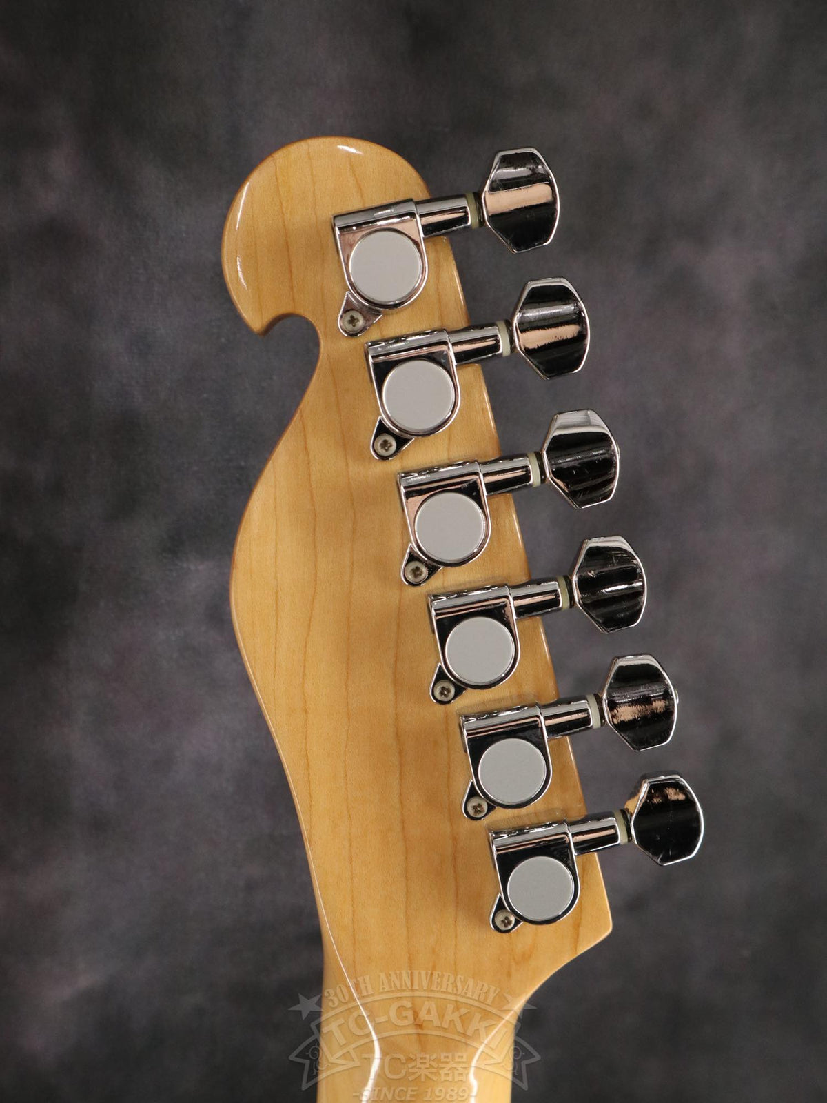 Bill Lawrence Swampkaster T