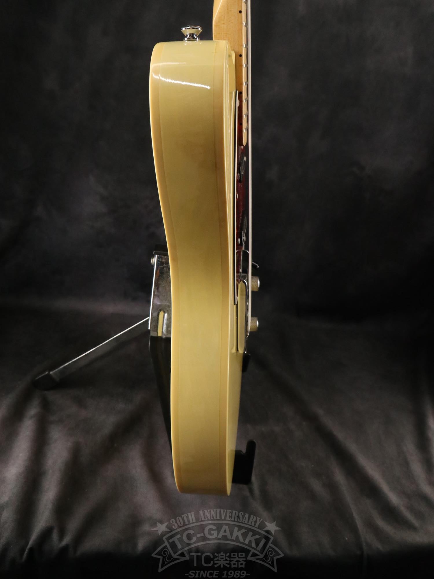 Bill Lawrence Swampkaster T