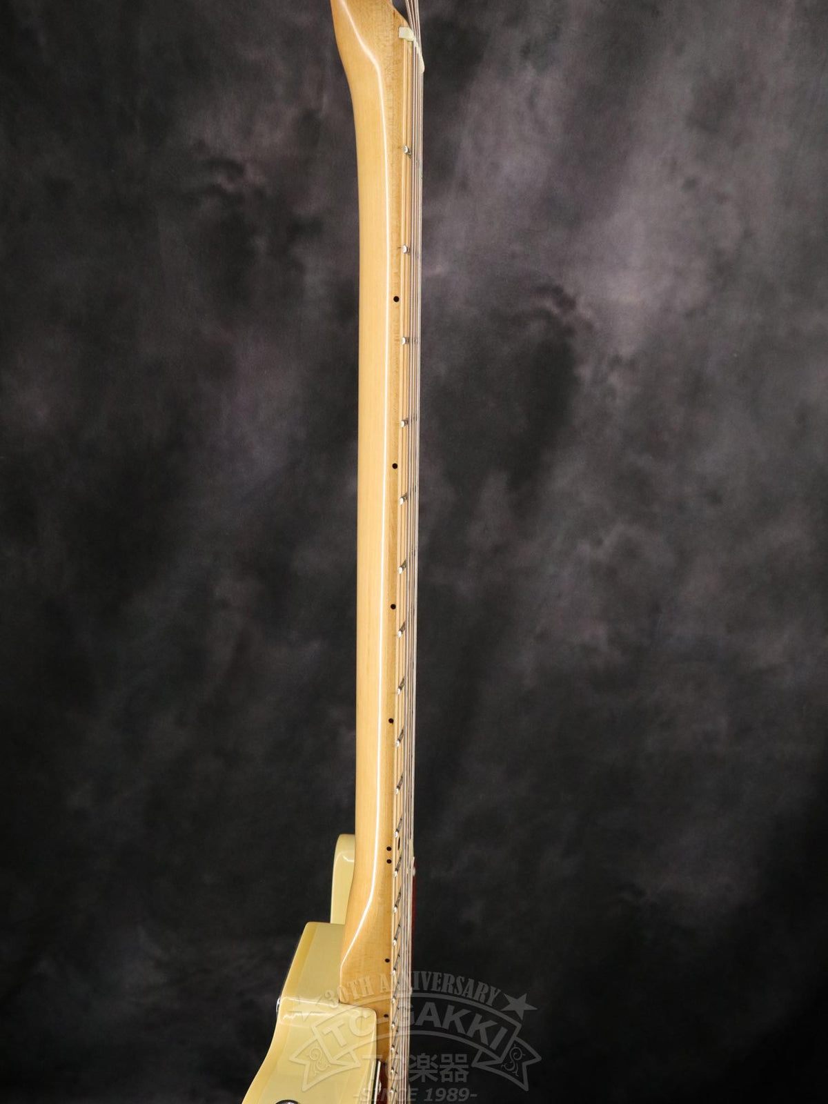 Bill Lawrence Swampkaster T