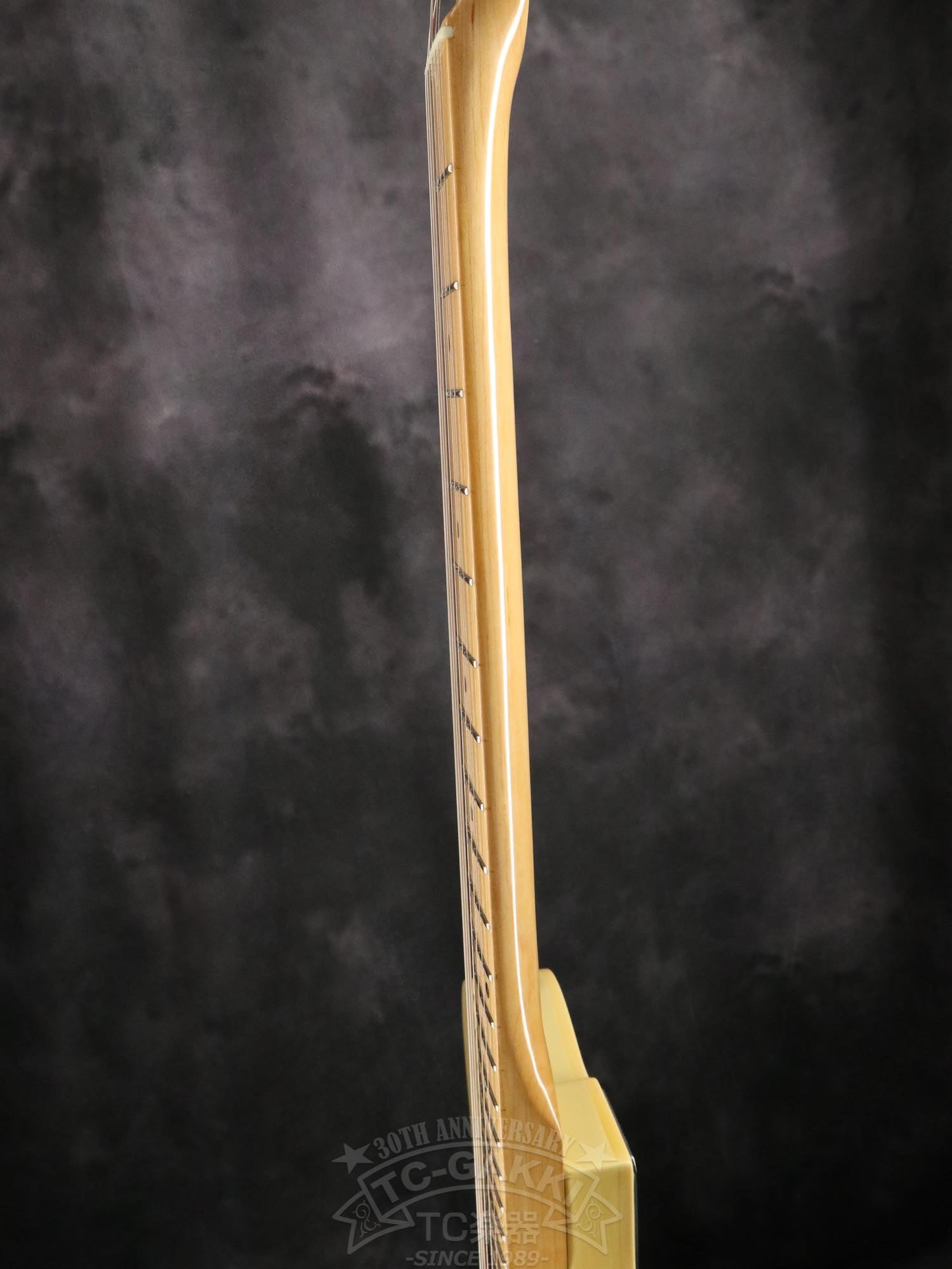 Bill Lawrence Swampkaster T