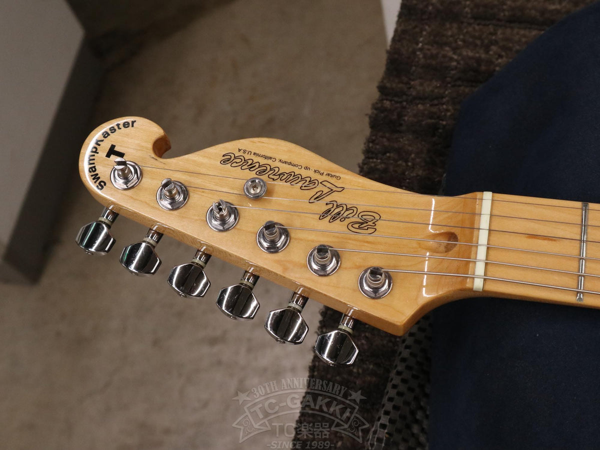 Bill Lawrence Swampkaster T