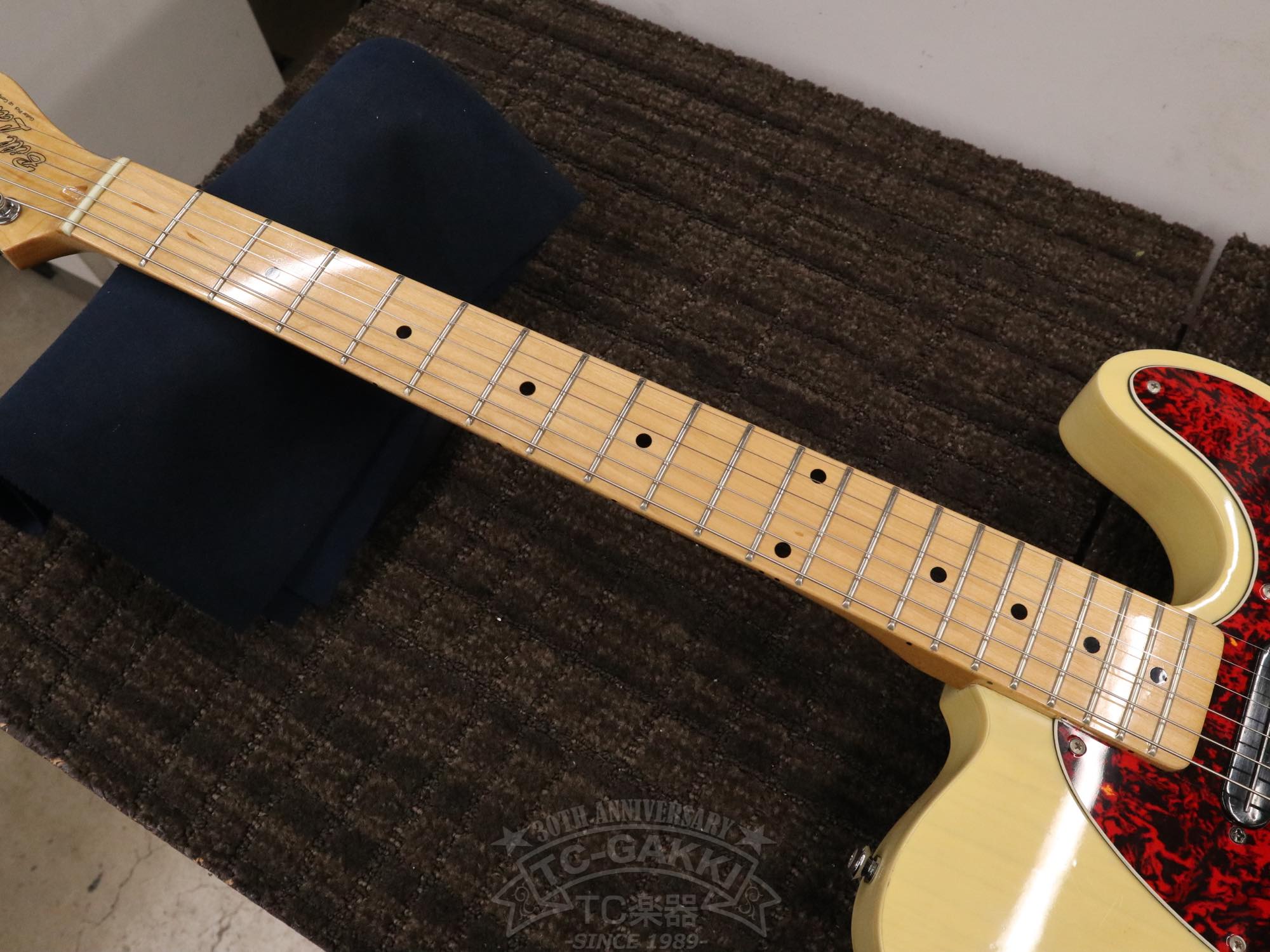 Bill Lawrence Swampkaster T
