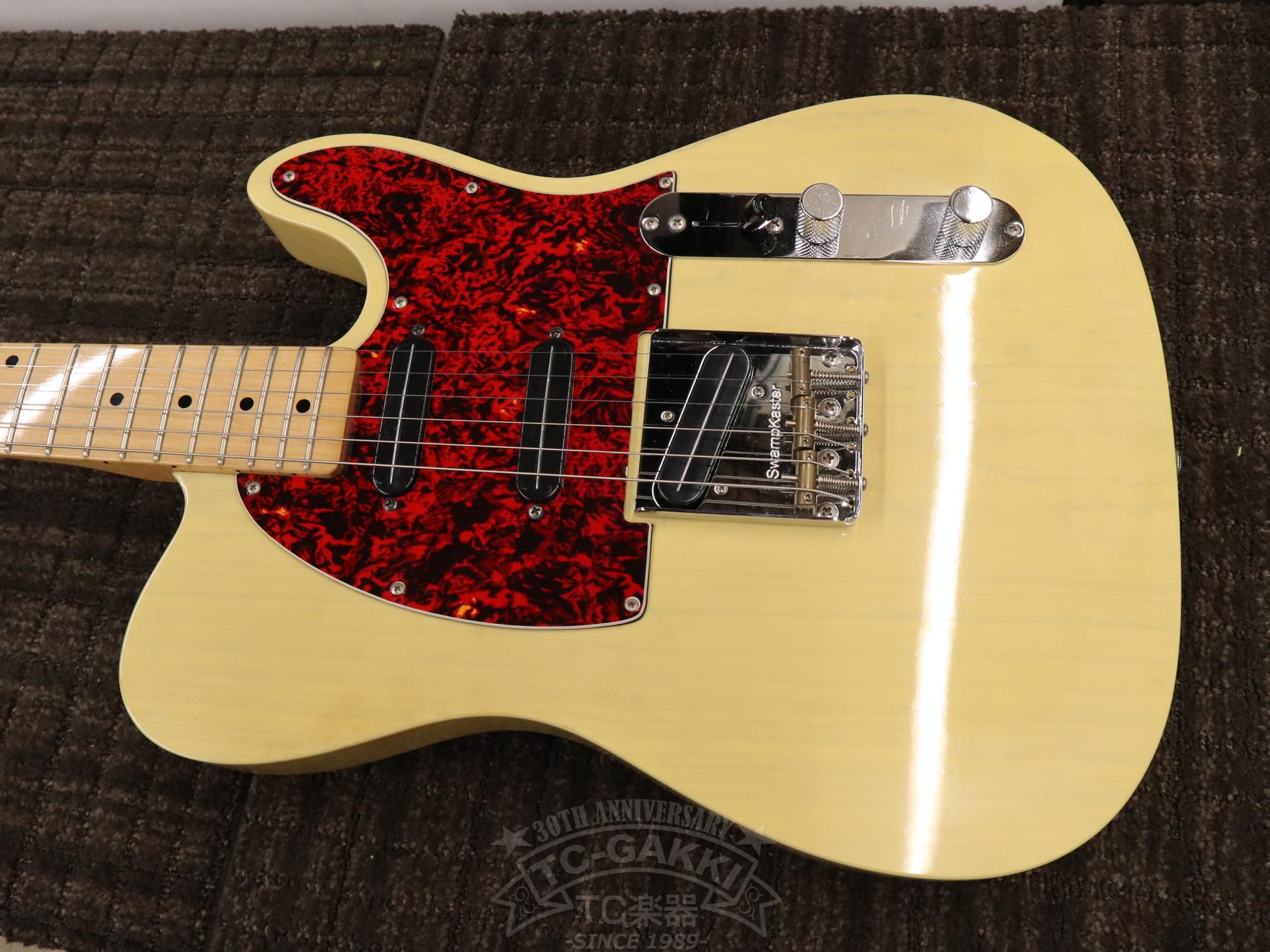 Bill Lawrence Swampkaster T