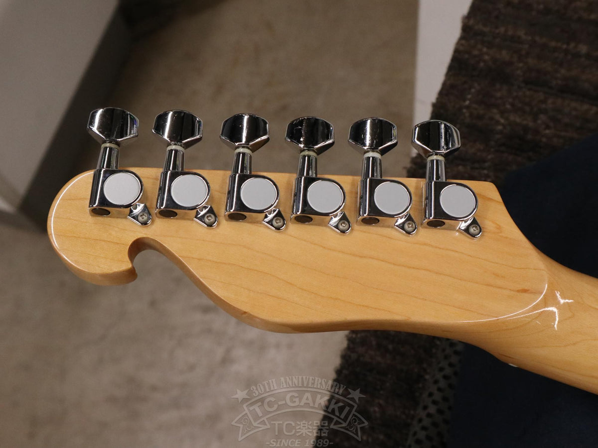 Bill Lawrence Swampkaster T