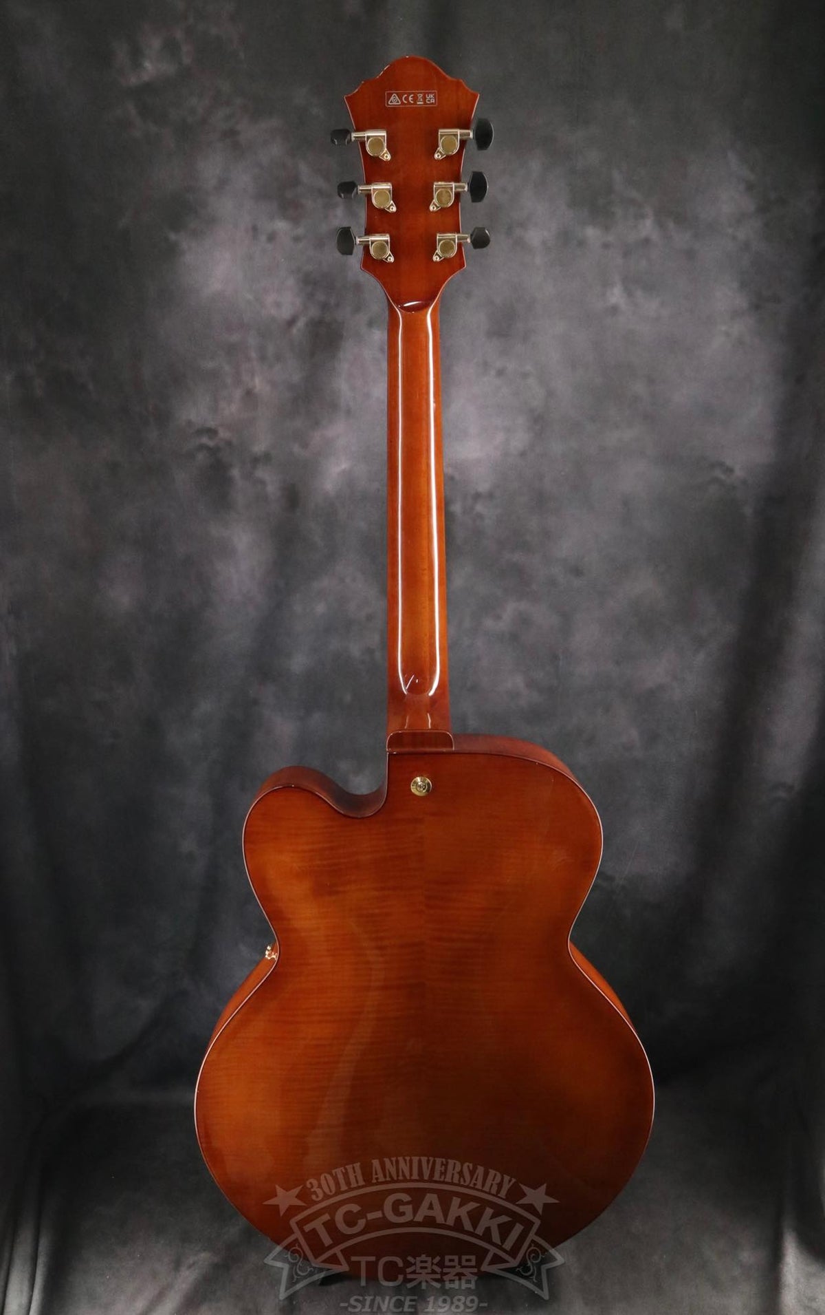 Ibanez AFC151