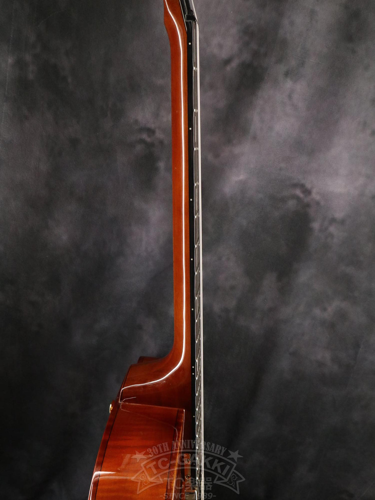 Ibanez AFC151