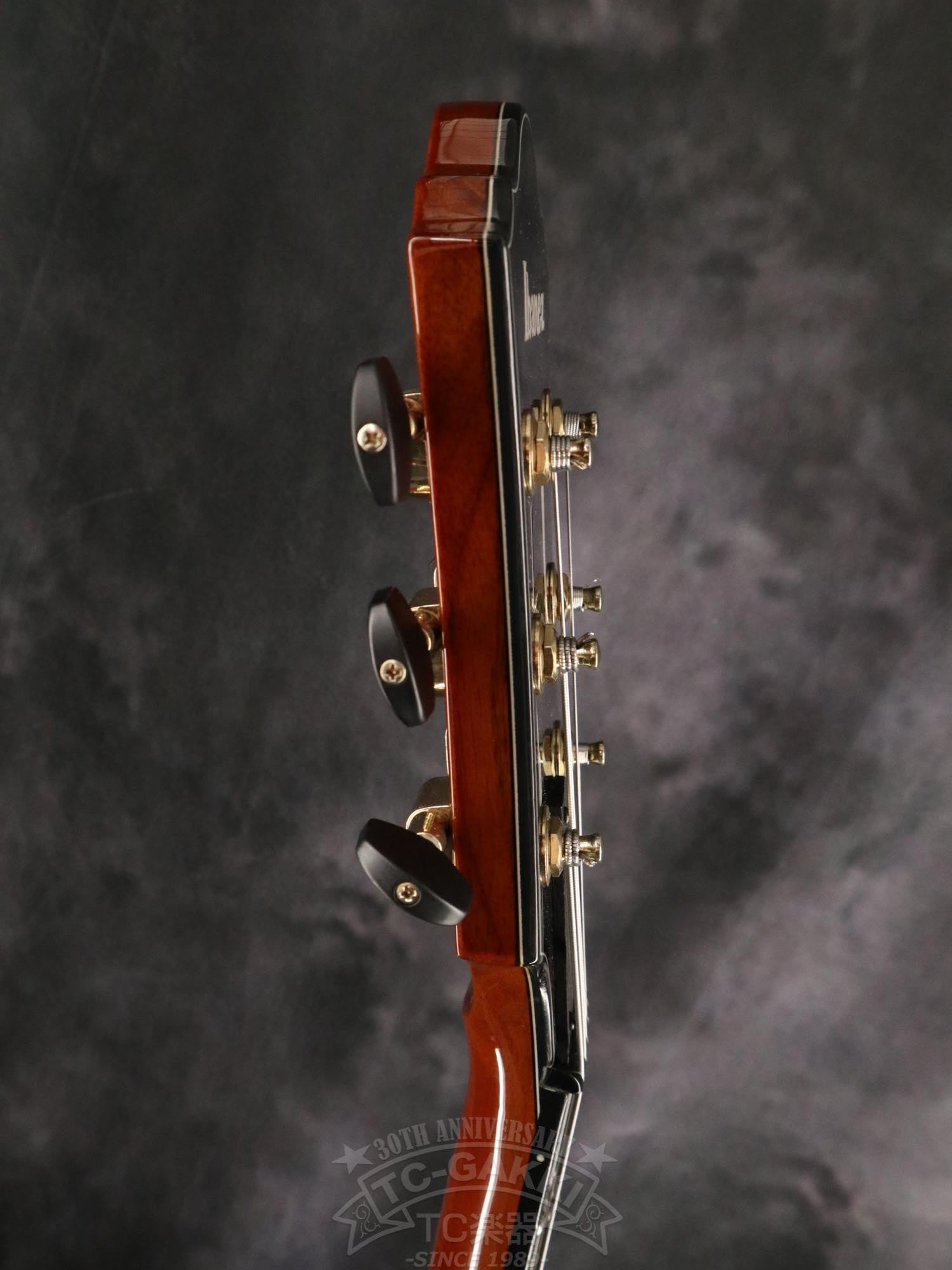 Ibanez AFC151