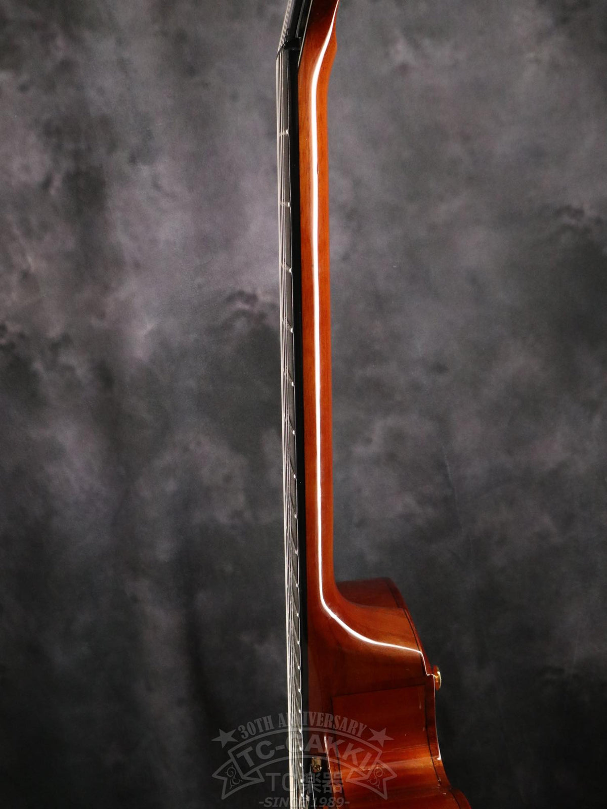 Ibanez AFC151