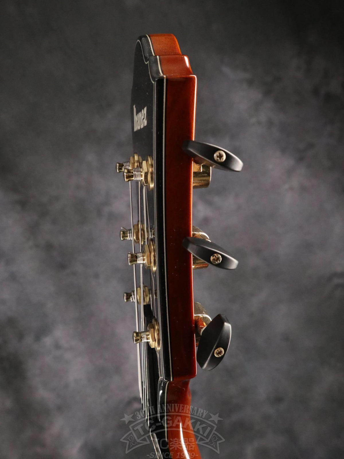Ibanez AFC151