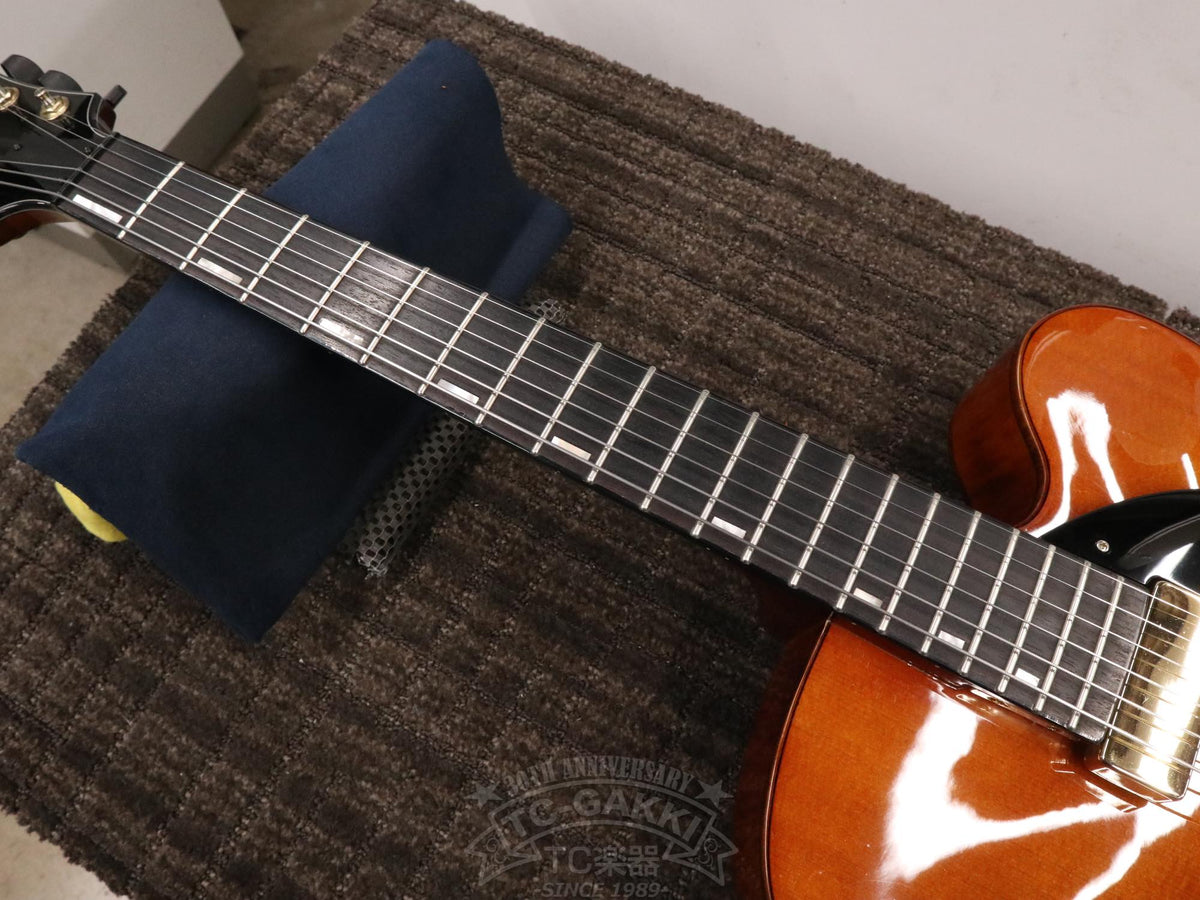 Ibanez AFC151