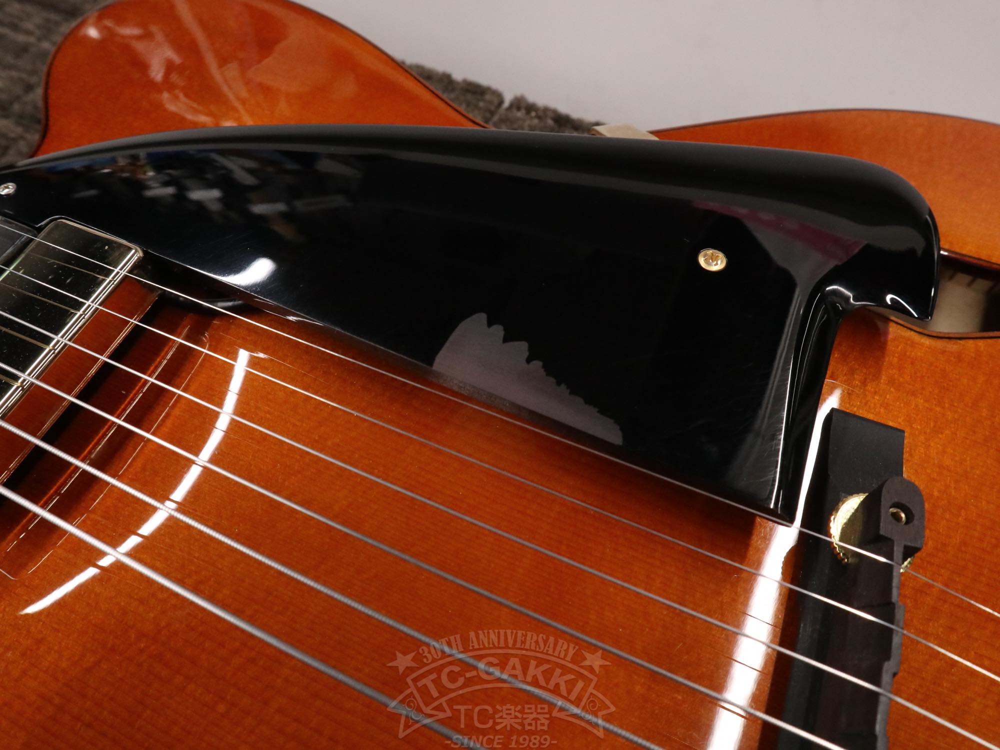 Ibanez AFC151