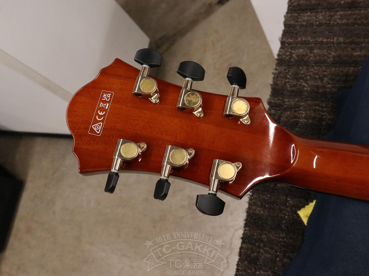 Ibanez AFC151
