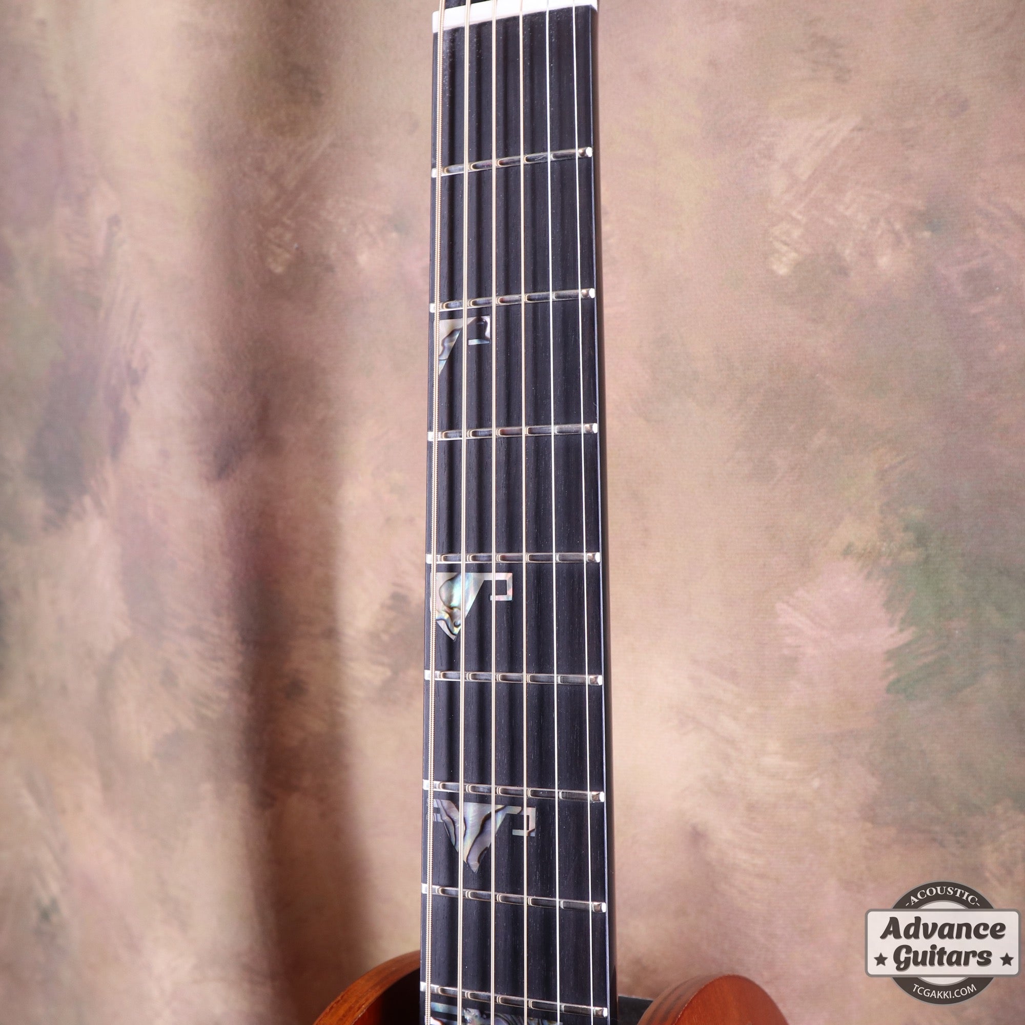 Takamine 2021年製 500 CUSTOM