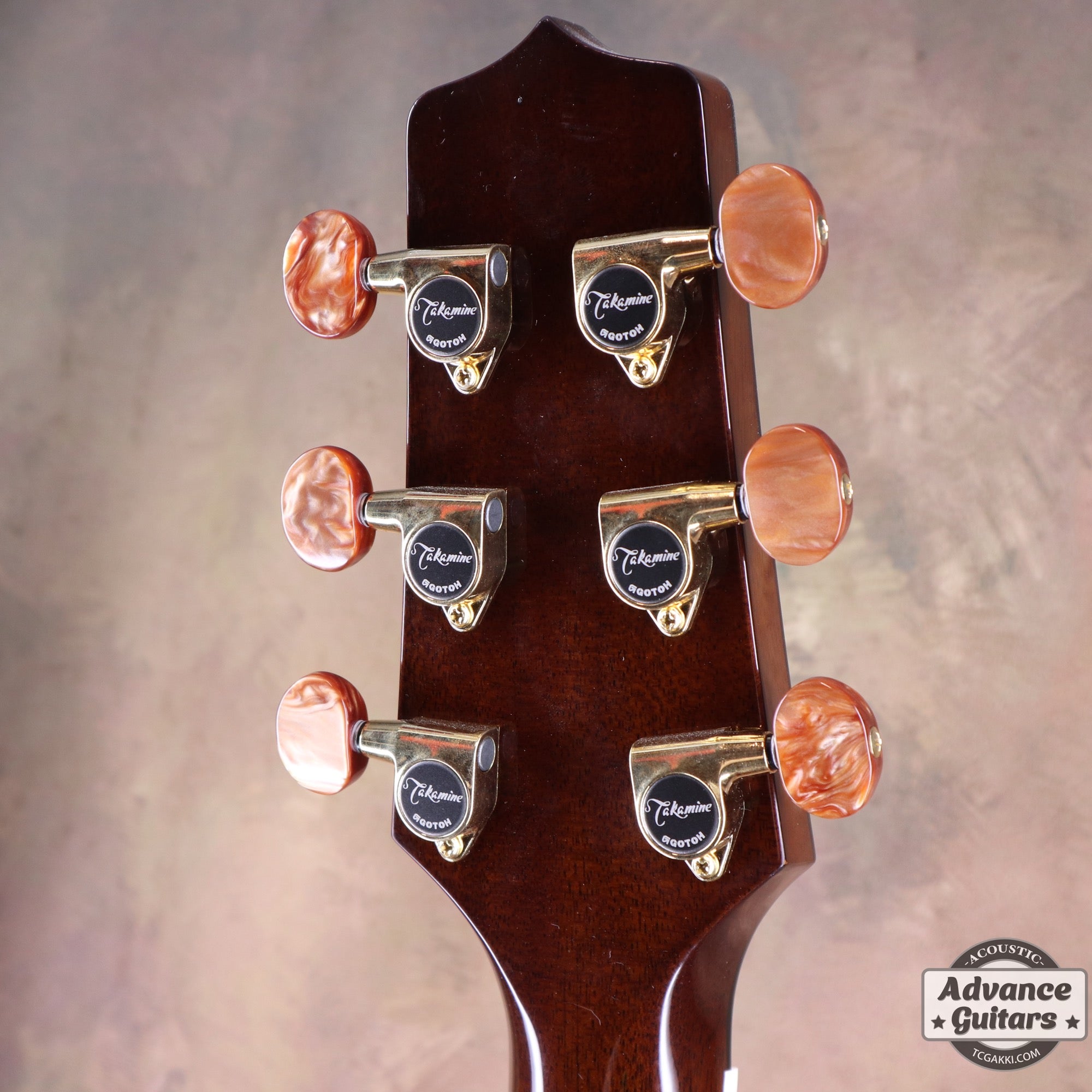 Takamine 2021年製 500 CUSTOM