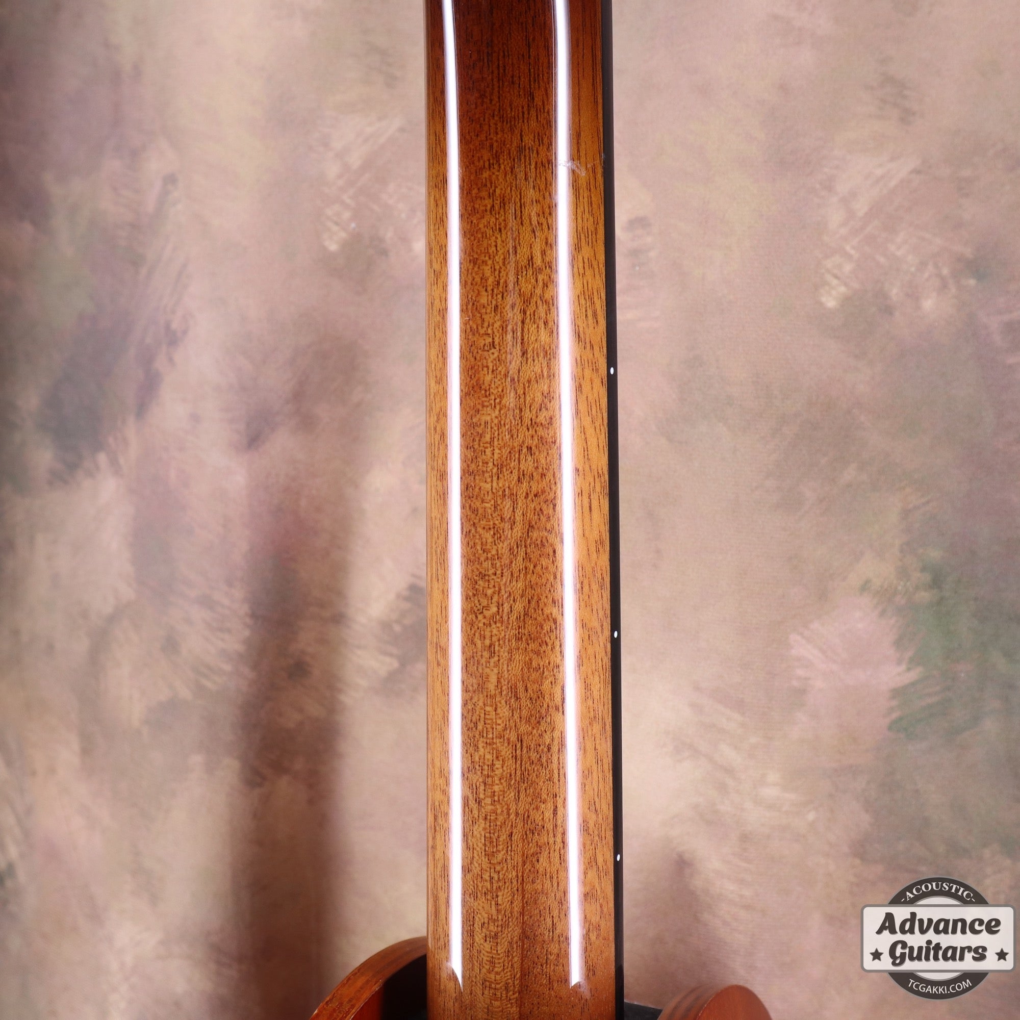 Takamine 2021年製 500 CUSTOM