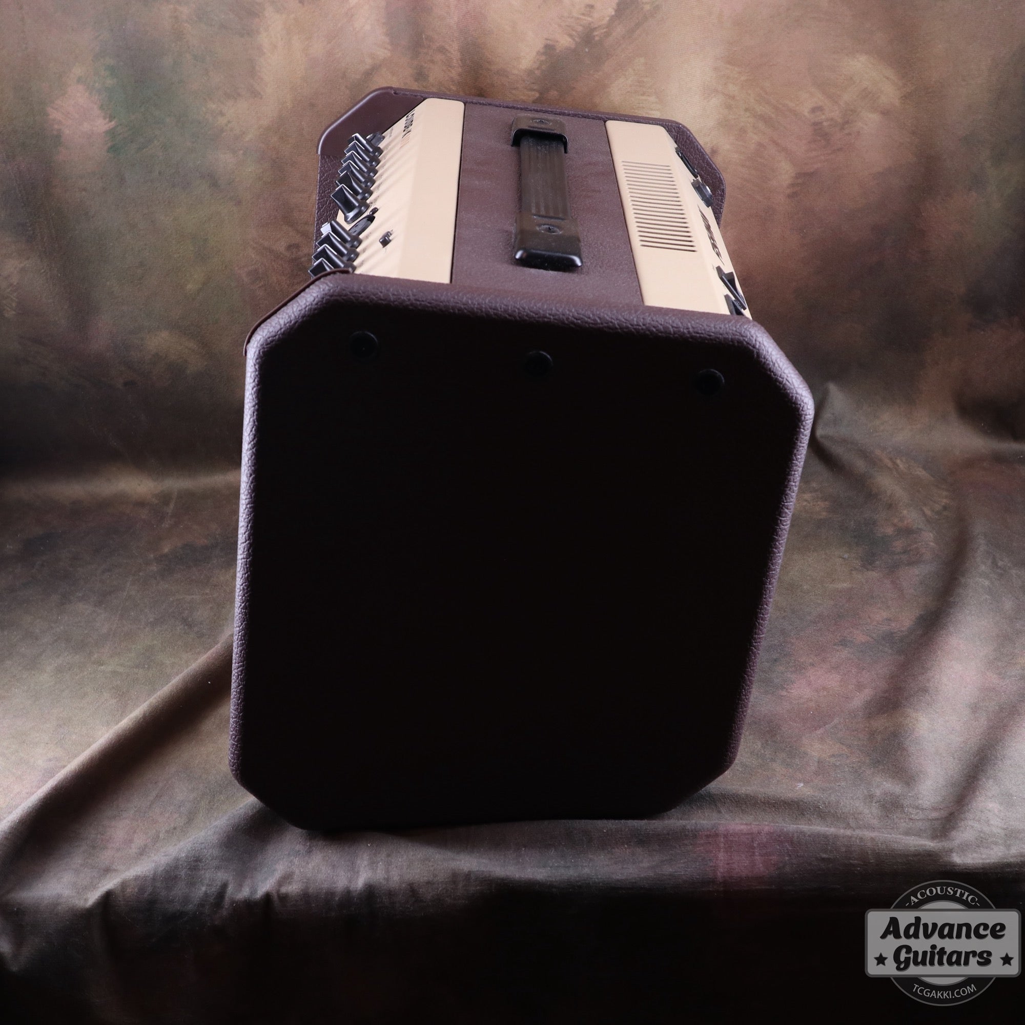 FISHMAN LOUD BOX MINI Bluetooth
