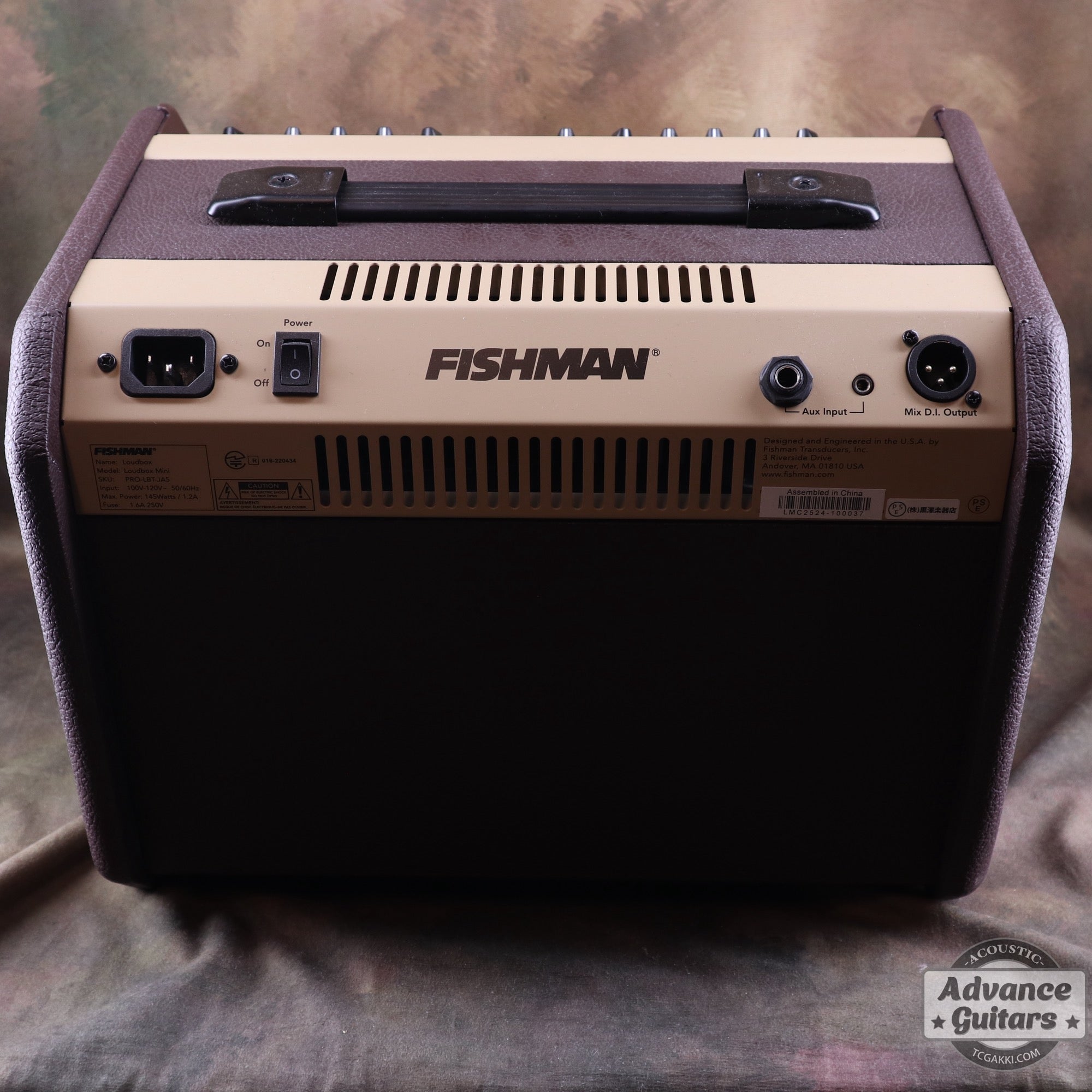 FISHMAN LOUD BOX MINI Bluetooth