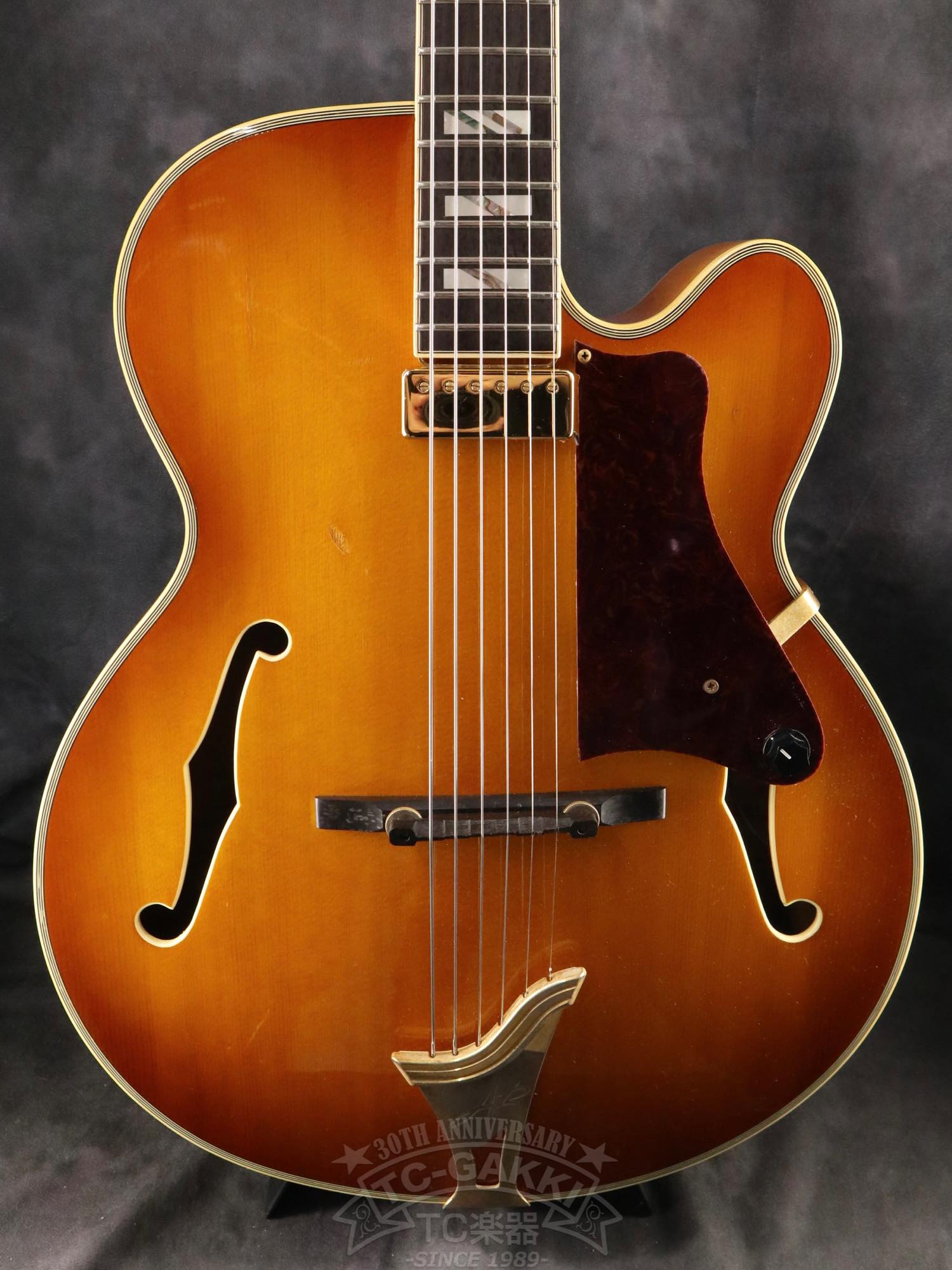 Aria Custom Shop AP-FA03